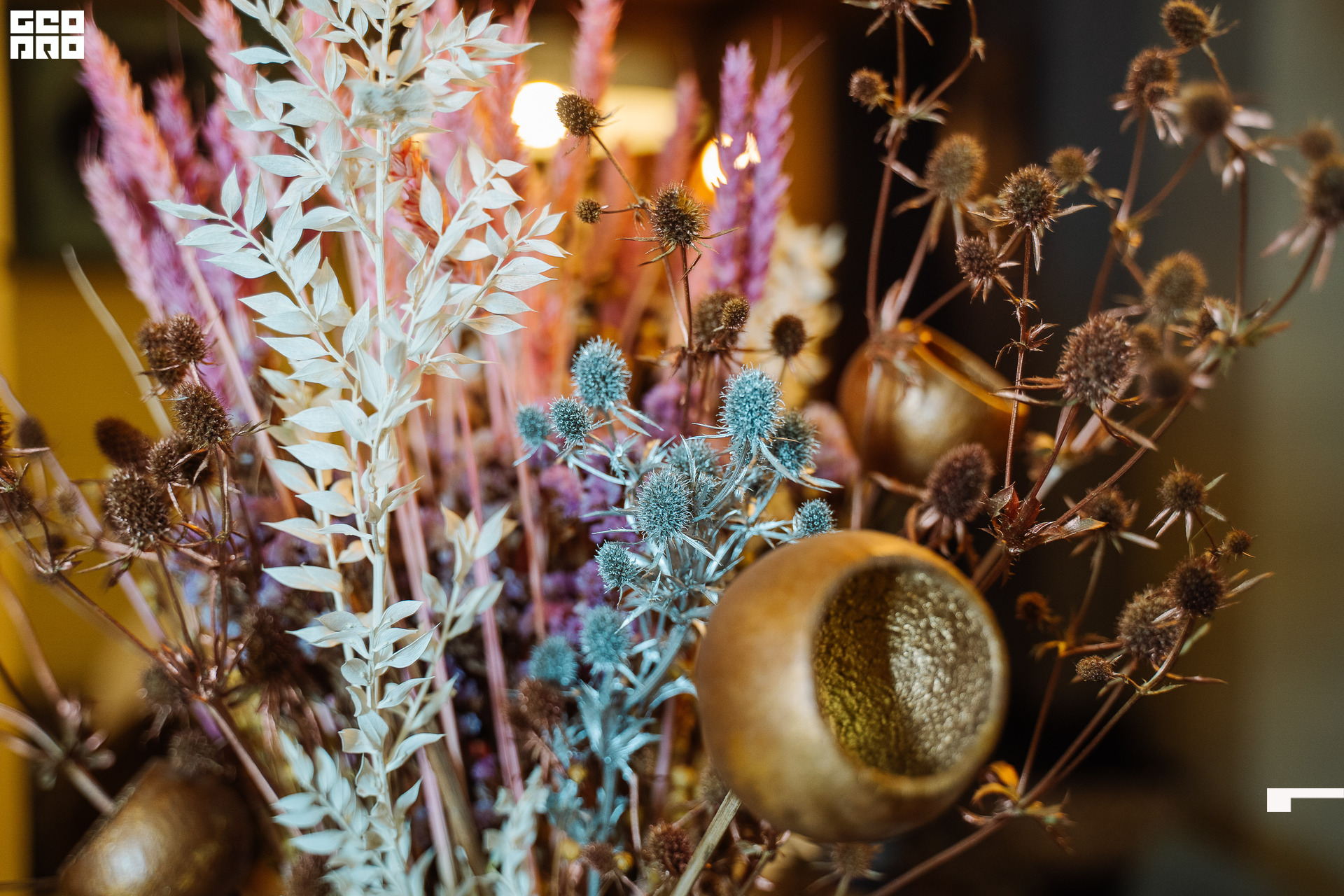 20221125 0067 _AV23978.jpg