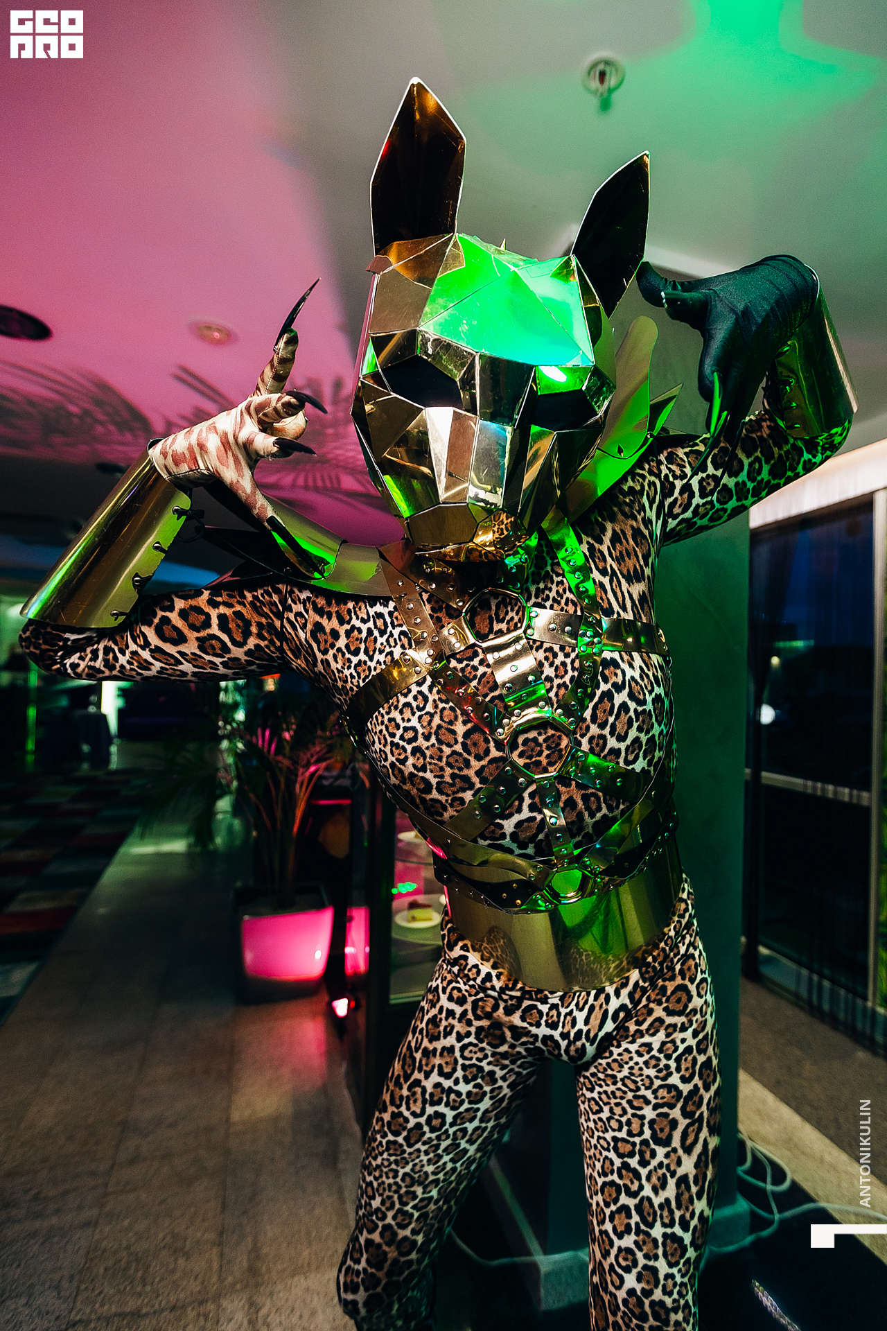 untitled shoot-5272.jpg