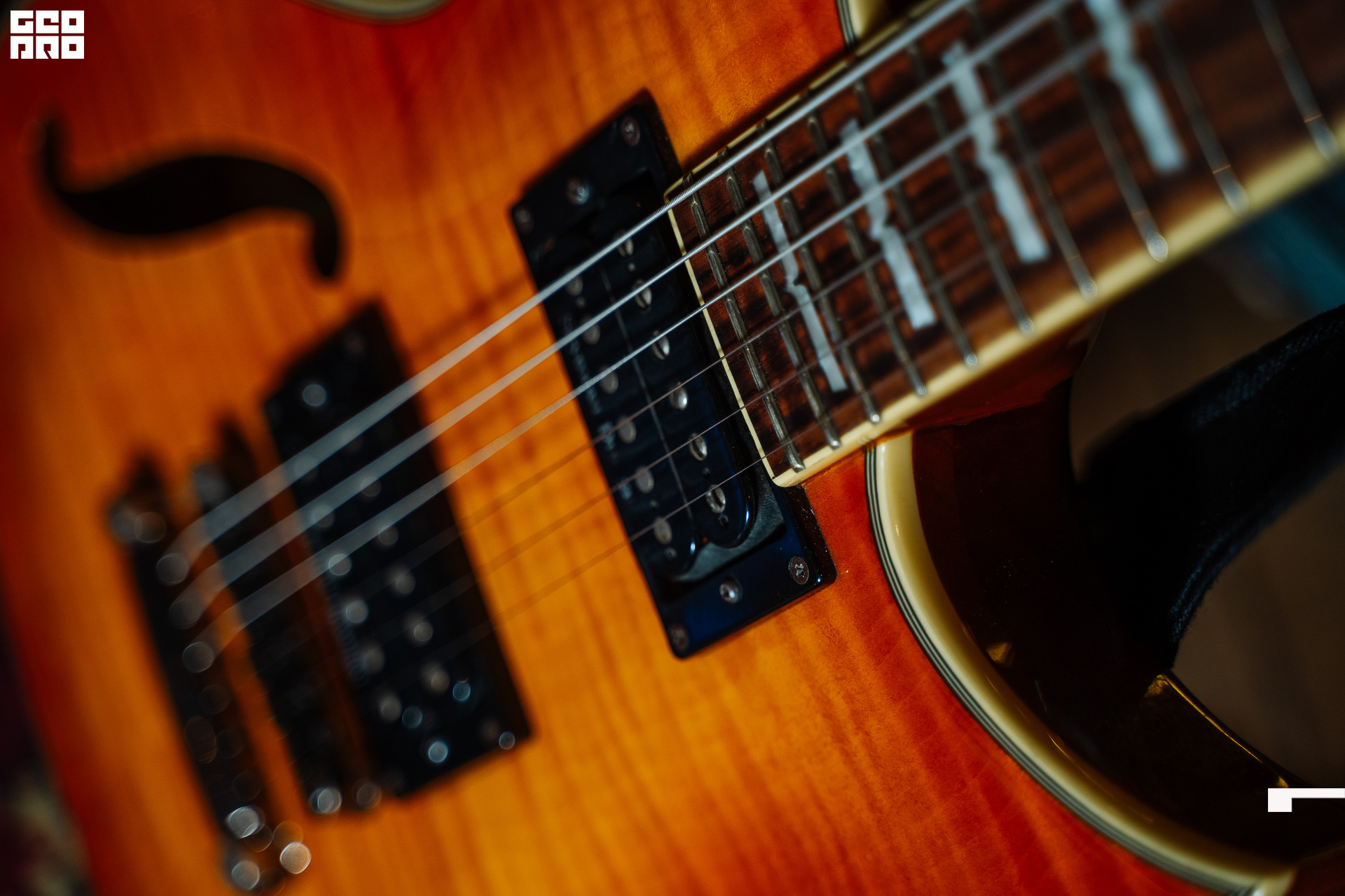 20221125 0018 _AV23776.jpg