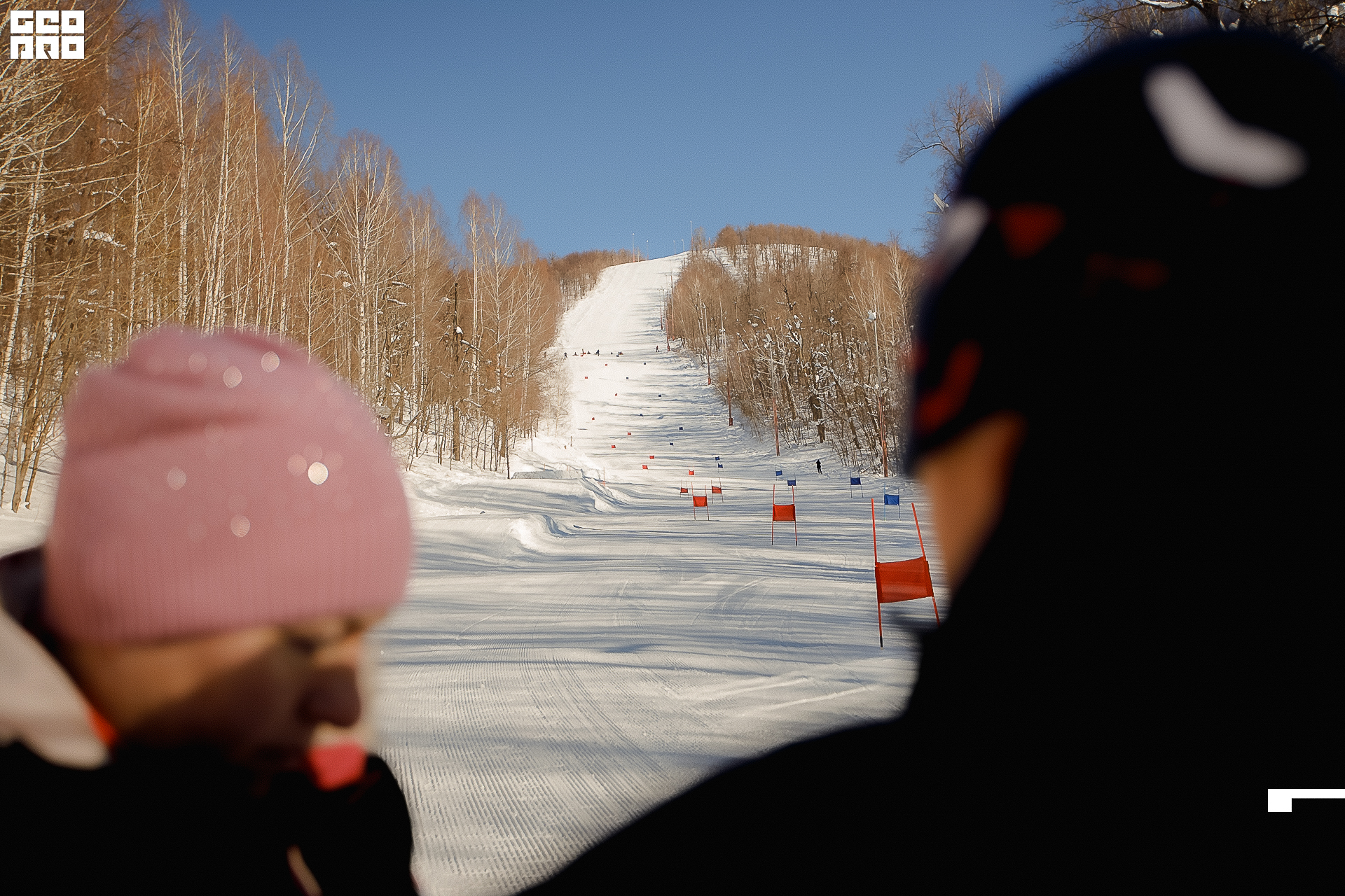 179_22-02-19 ISAEVA.jpg