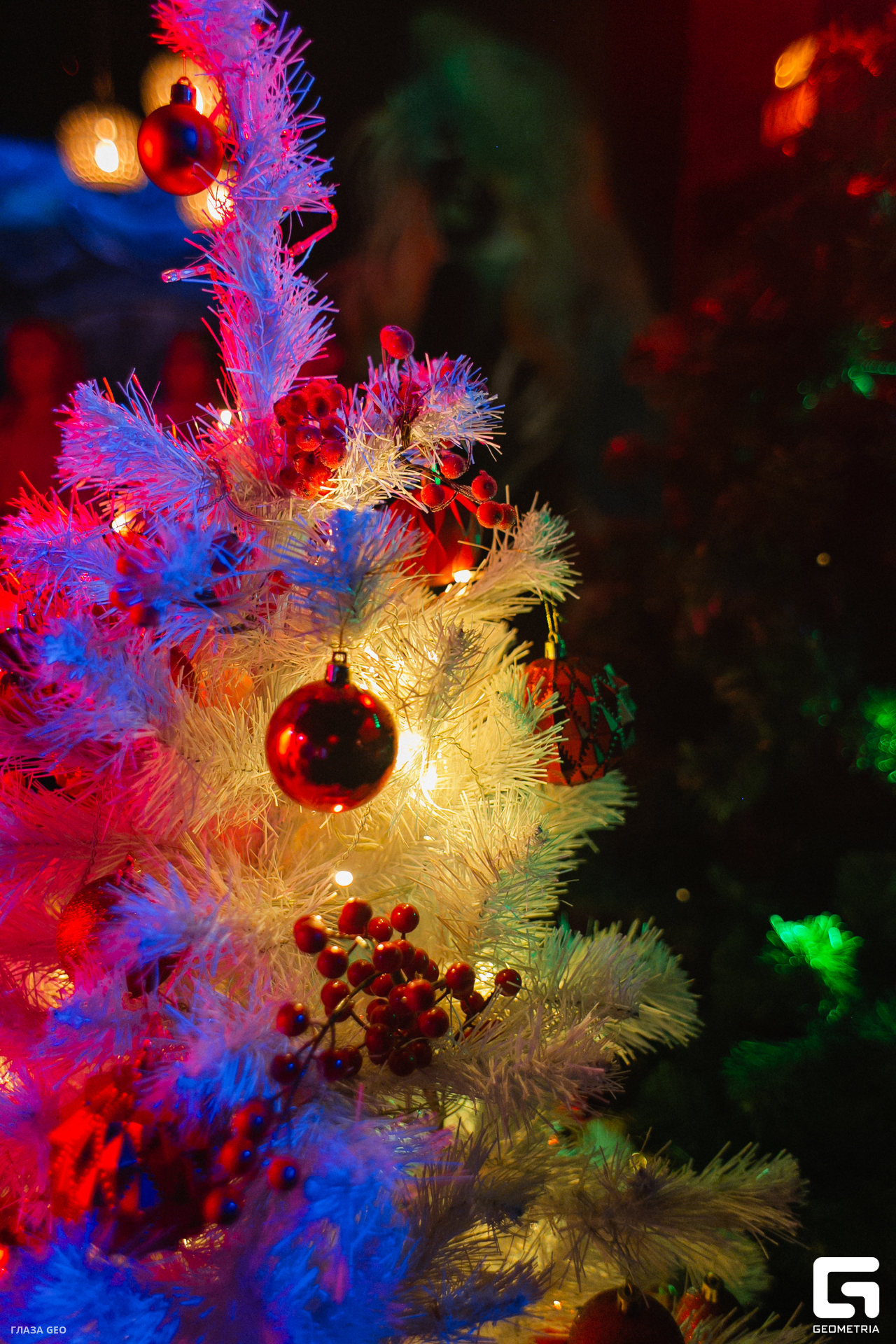 047танцевали хинкали 23.12.jpg