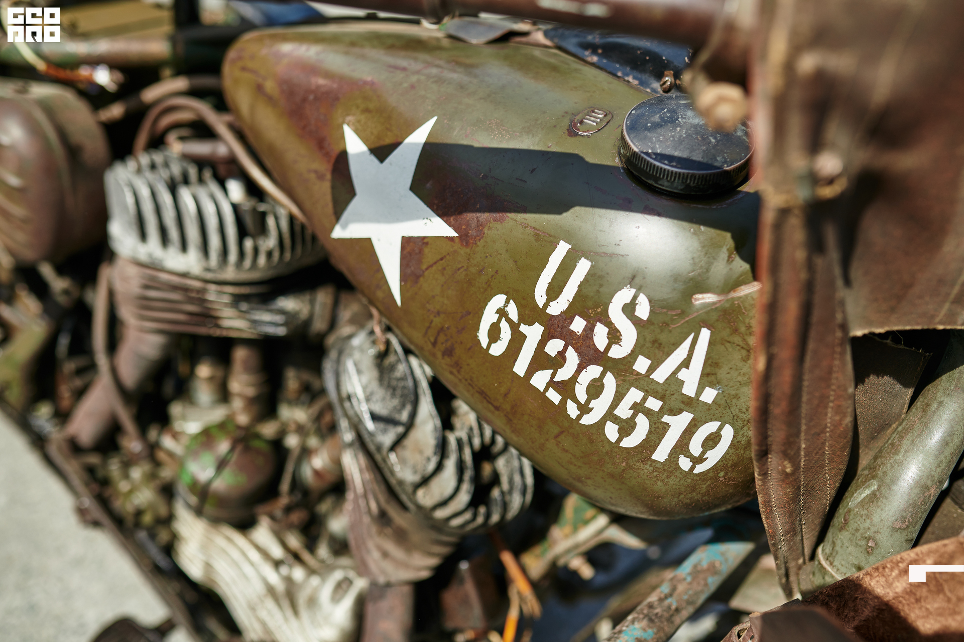 336_09-05-22_12-13 _Zhivotinsky.jpg