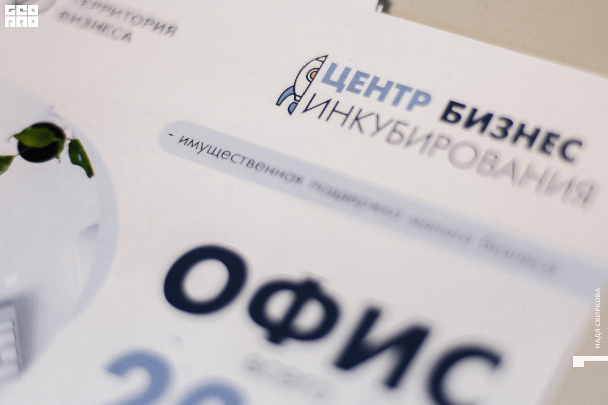 Бизнес лекция в "Центре бизнес-инкубирования" 21