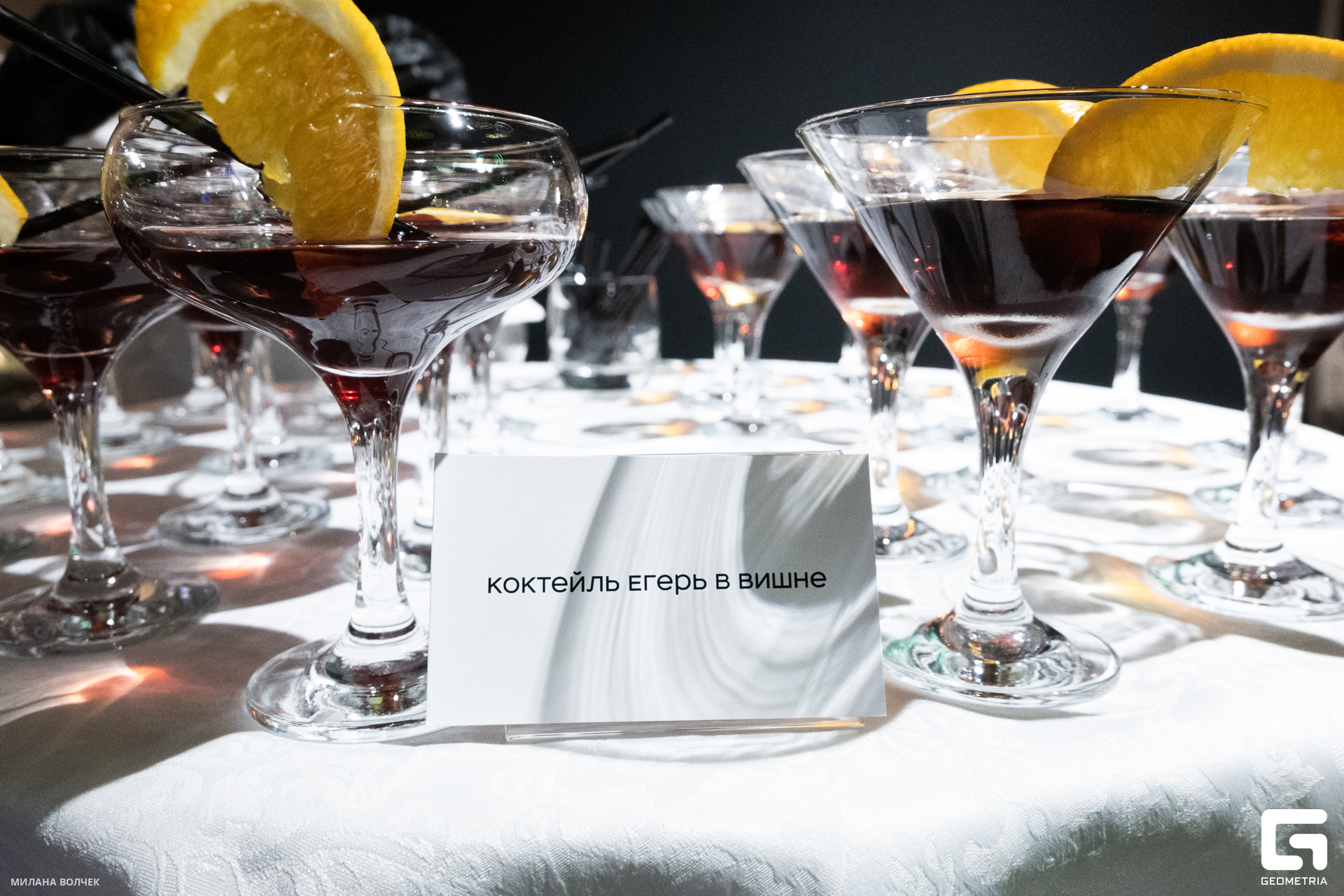 090_20231111 Волчек.jpg