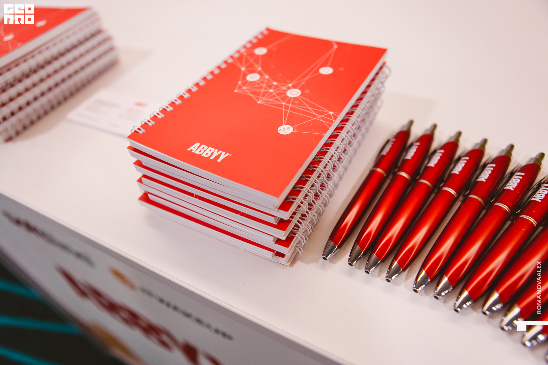 023 210923  143134 _ale_romanova.jpg