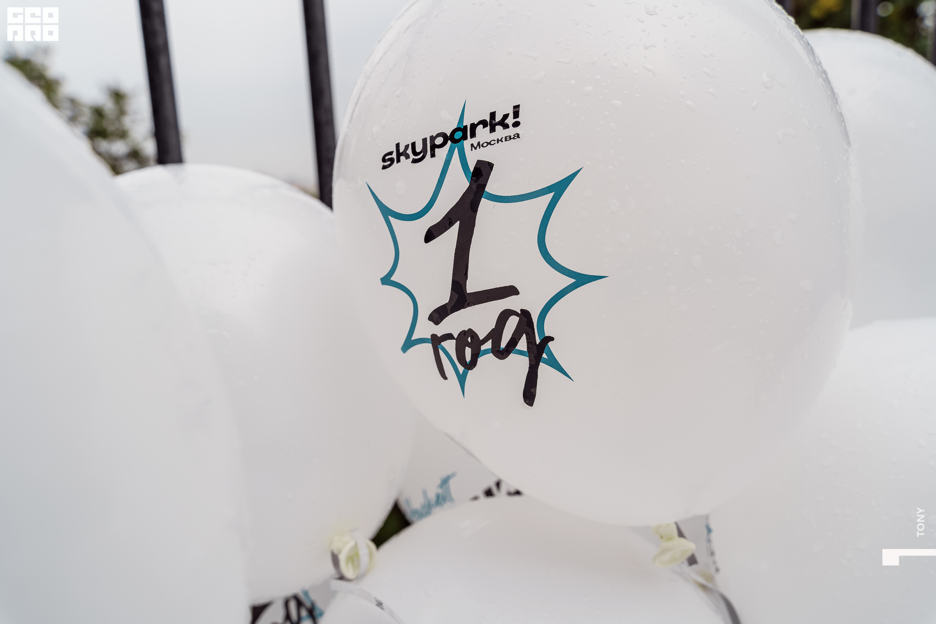 Зиплайн 003.jpg