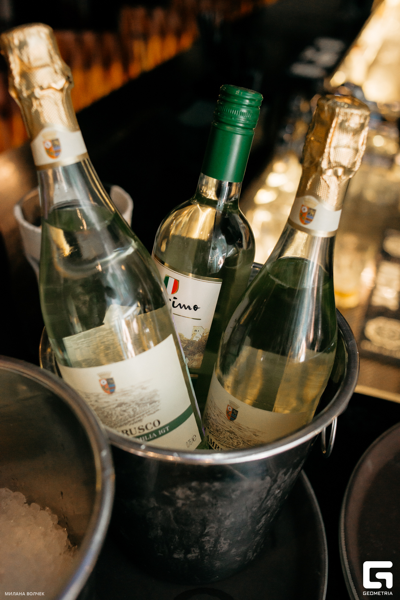 012_20230805 Волчек.jpg