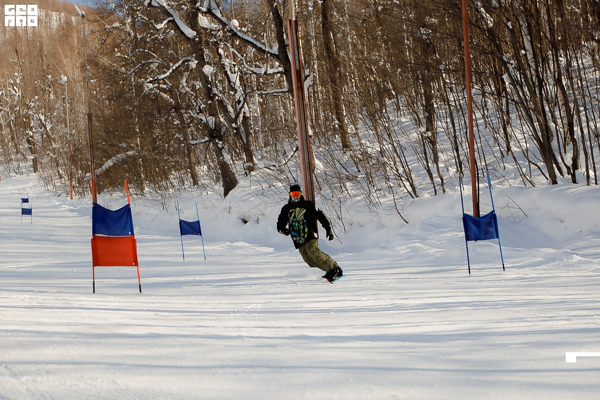 135_22-02-19 ISAEVA.jpg