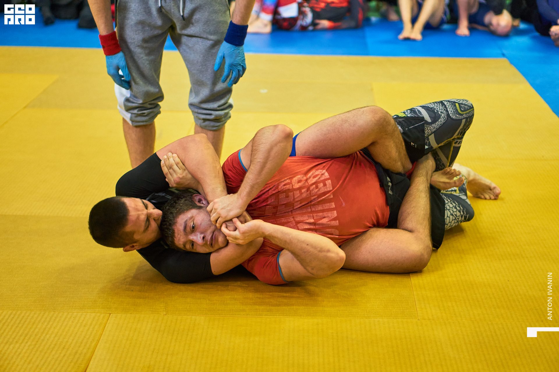 DSC09348 (Копировать).jpg