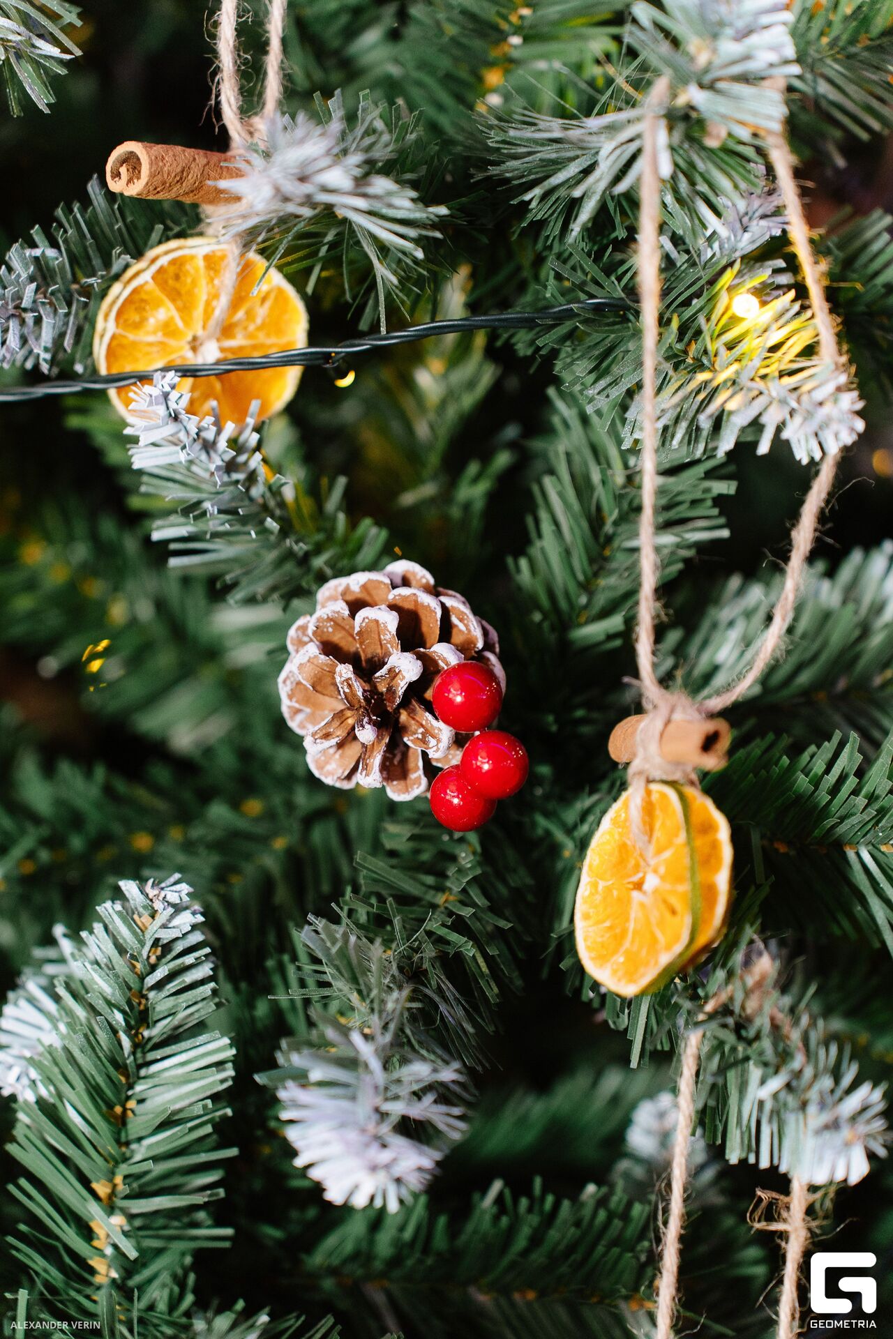 20241231 гранат 0001 AV101321.jpg