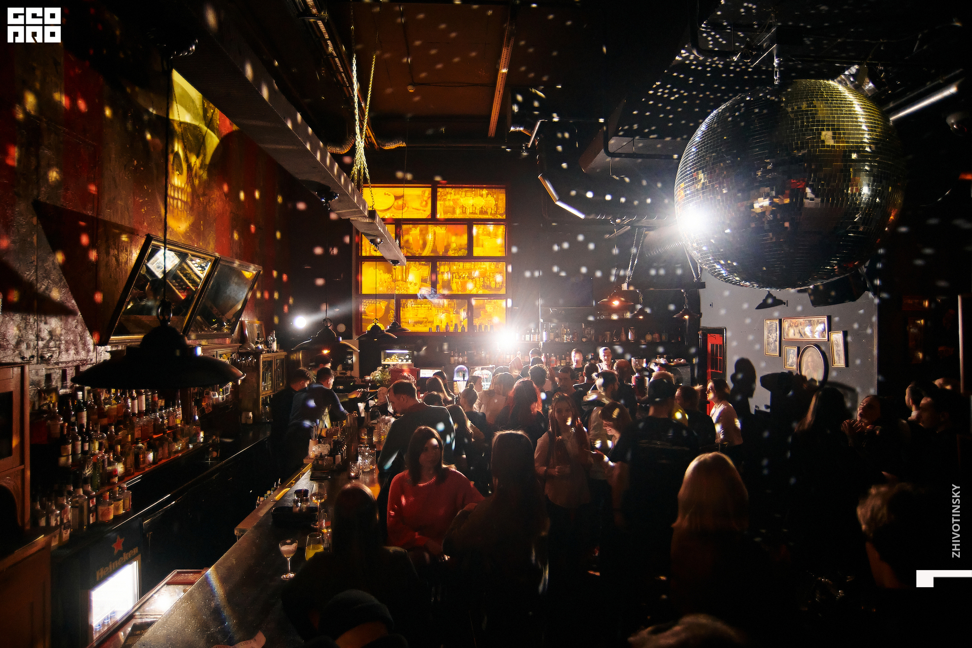 008_06-02-22_10-30 _Zhivotinsky.jpg