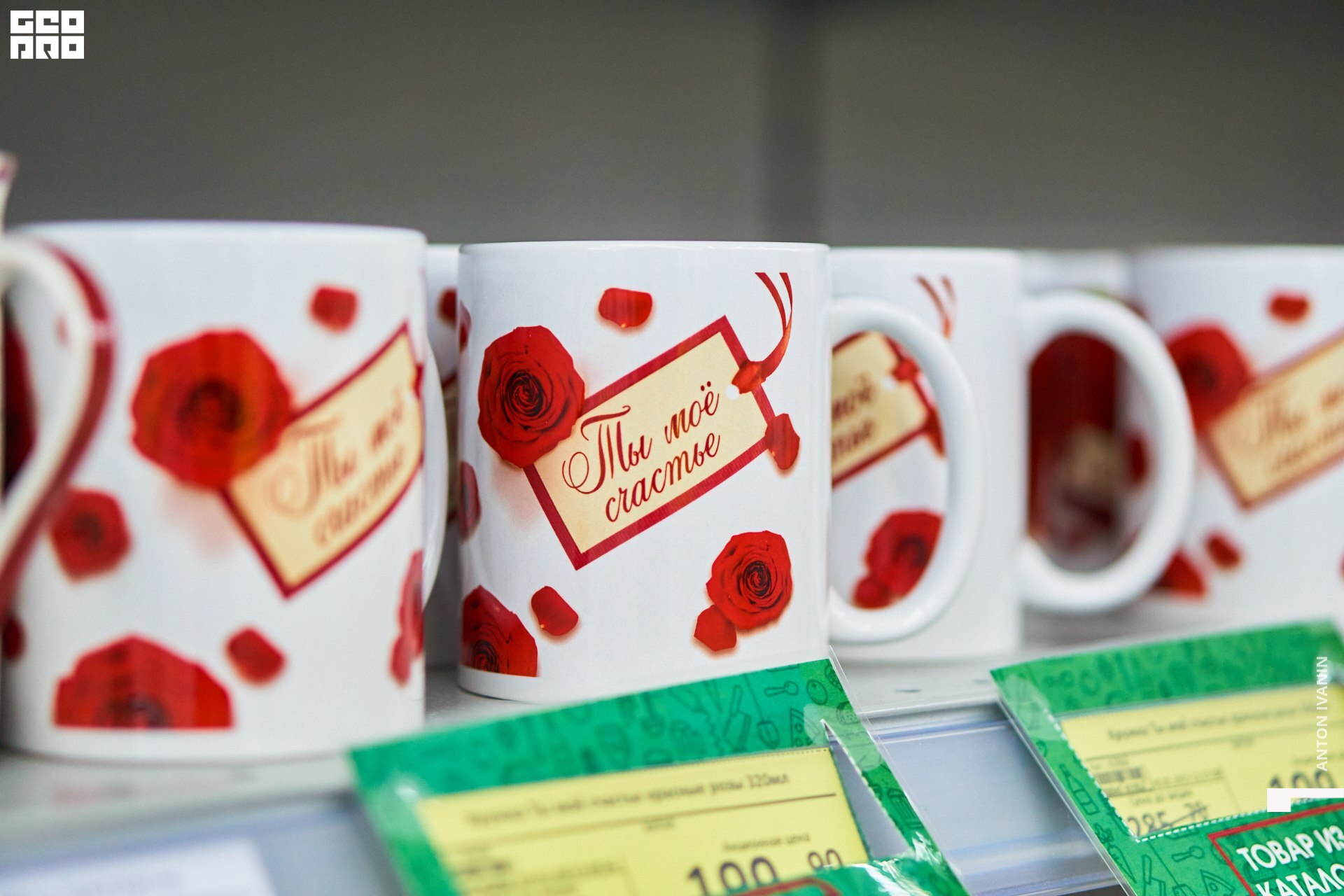 DSC09442 (Копировать).jpg