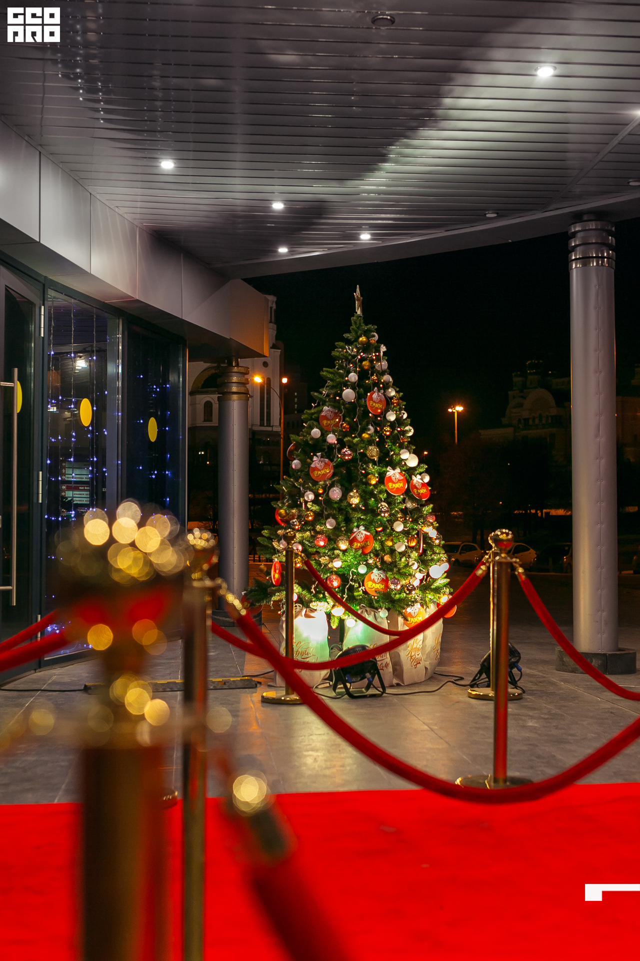 252-20211211-48-11.12.21 - Ёлки.jpg