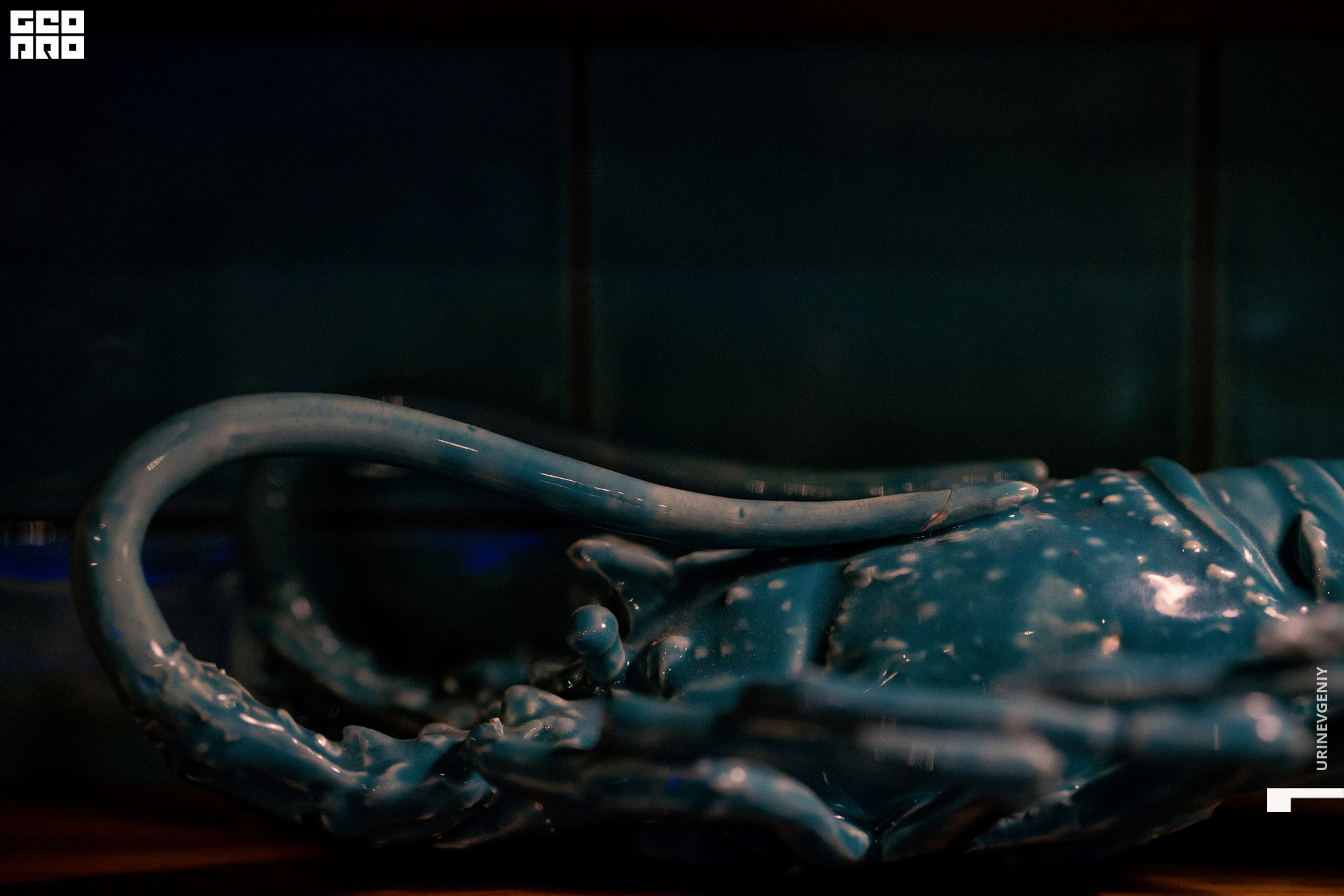 28.10.2021. Kraken (96).jpg