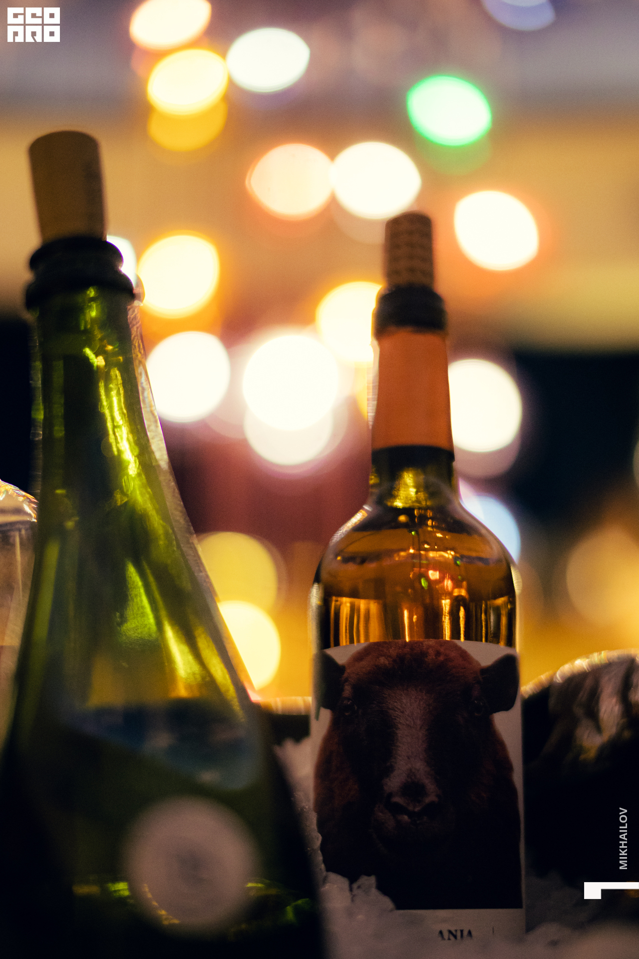 031-20220214-02-Sekta - Mikhailov -2560.jpg