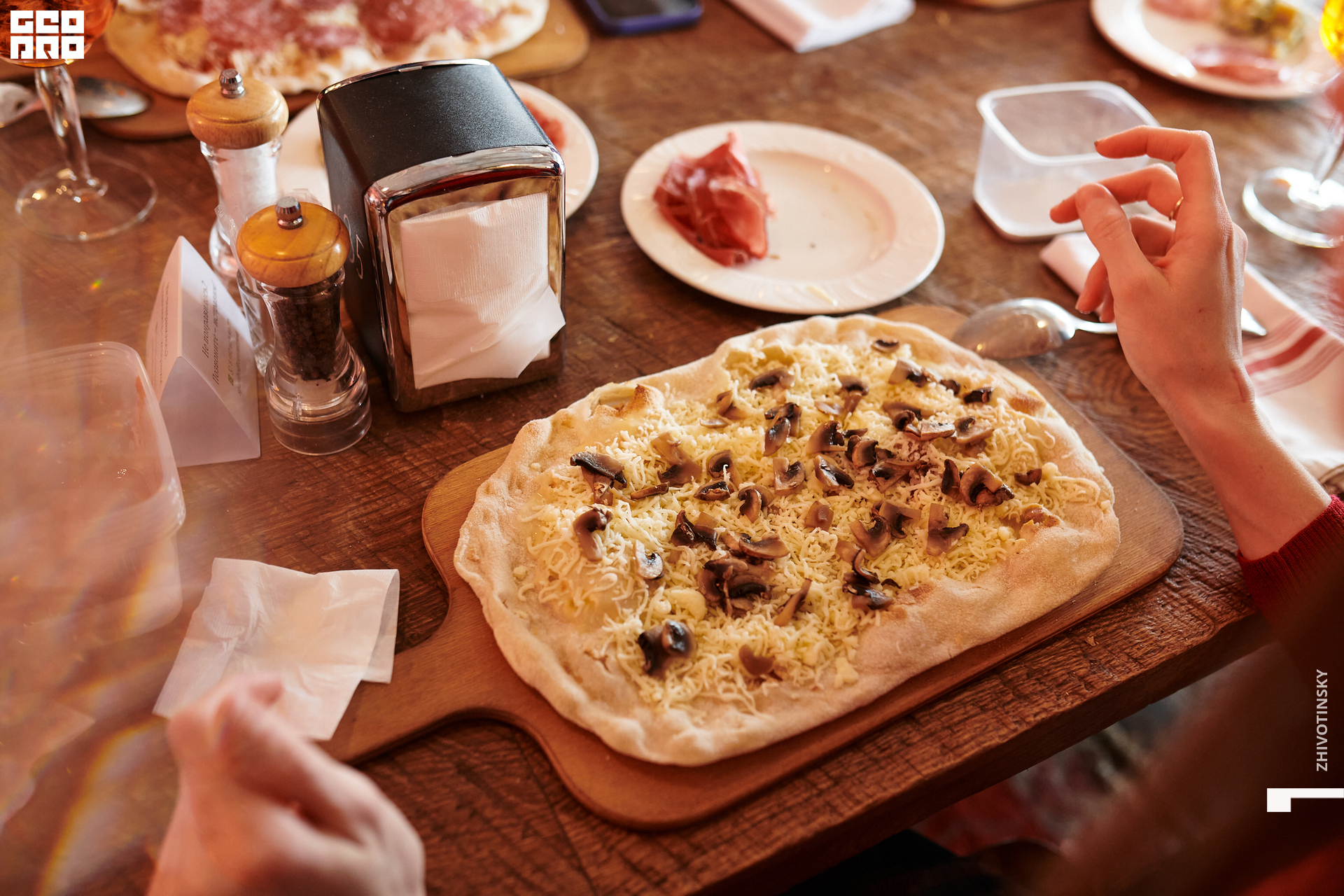 047_19-03-22_4-19 _Zhivotinsky.jpg