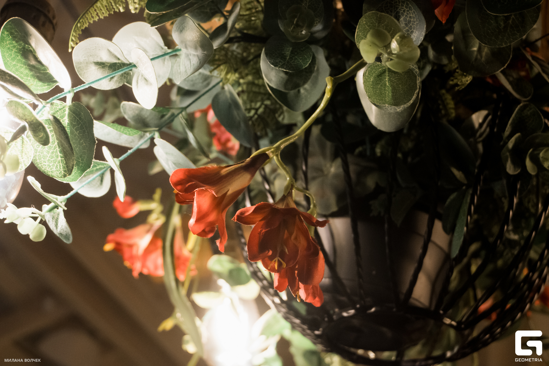 046_20231124 Волчек.jpg