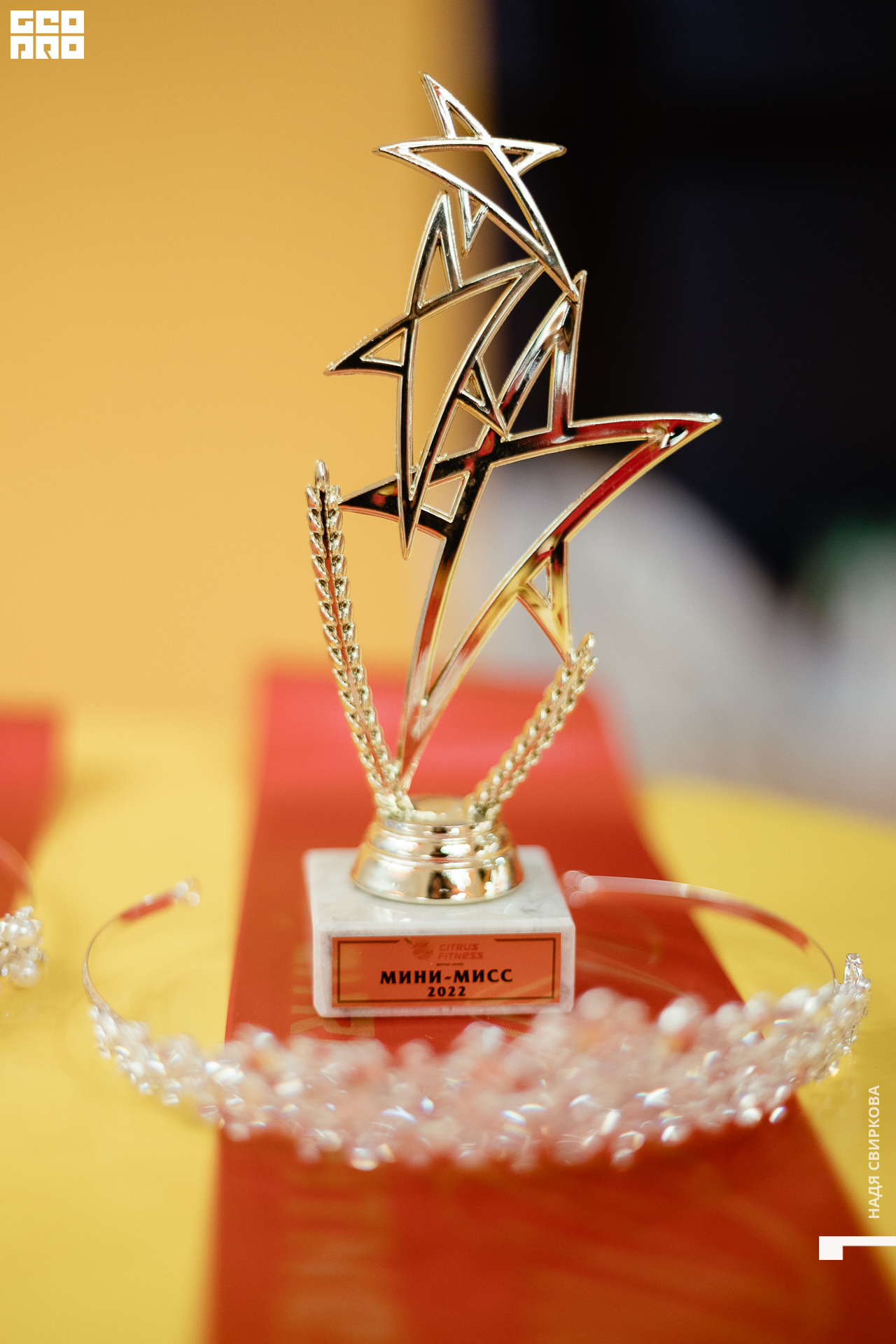 003_22-04-28 ISAEVA.jpg