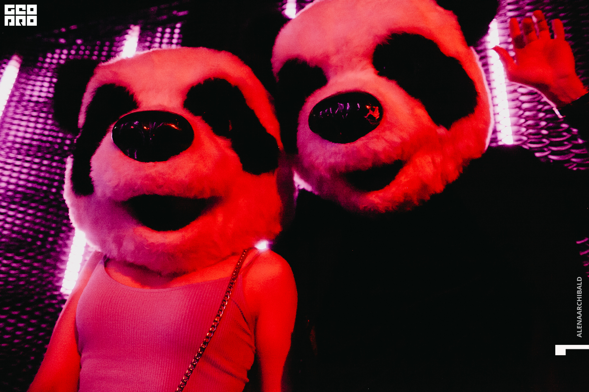 2021-02-21 00-50-44_alenaarchibald_010.JPG