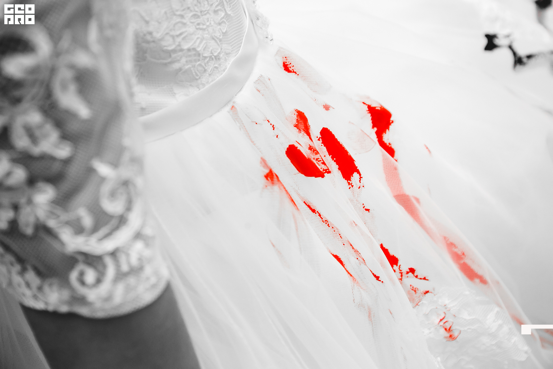 252 210908  190255 _ale_romanova.jpg