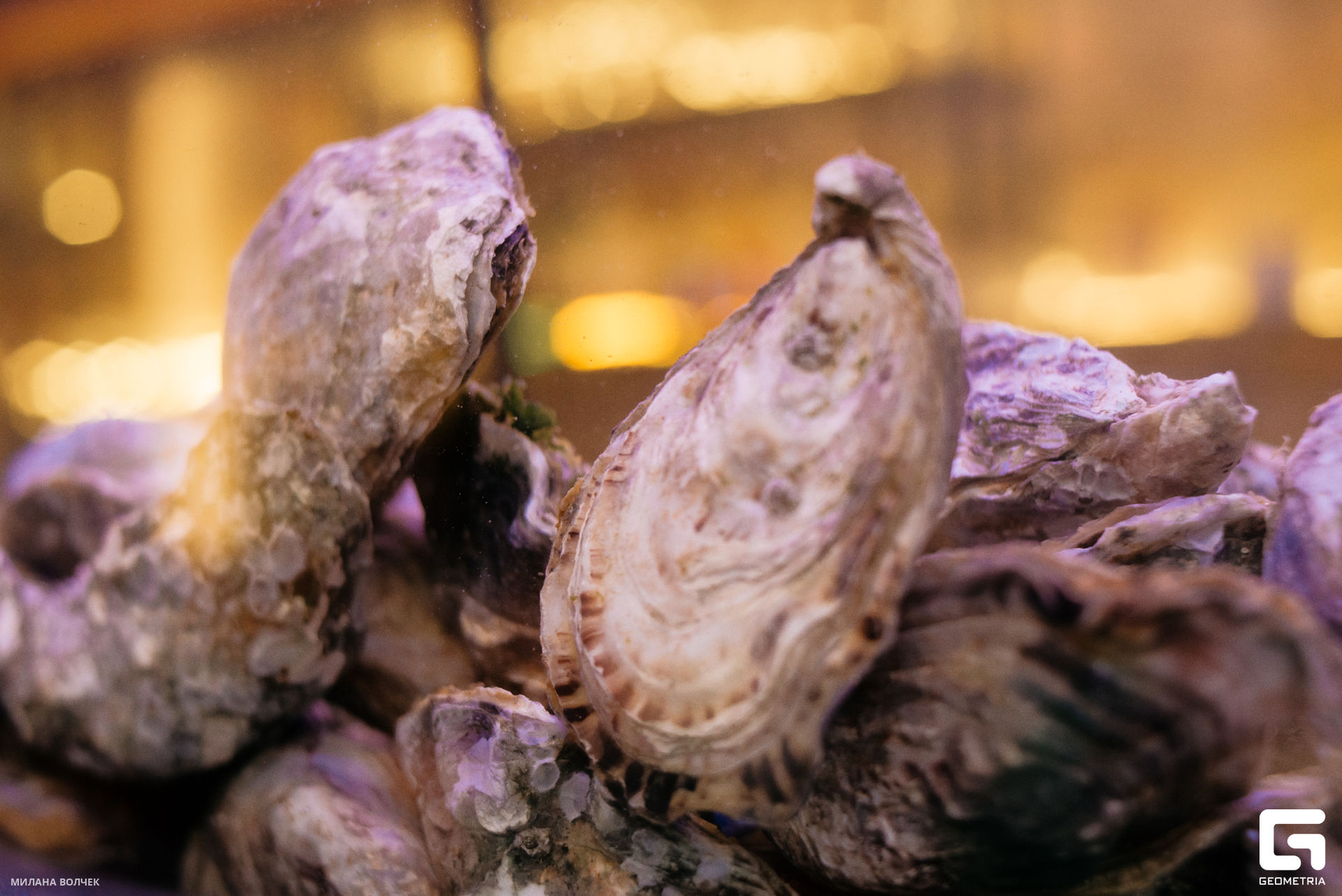 034_20230805 Волчек.jpg