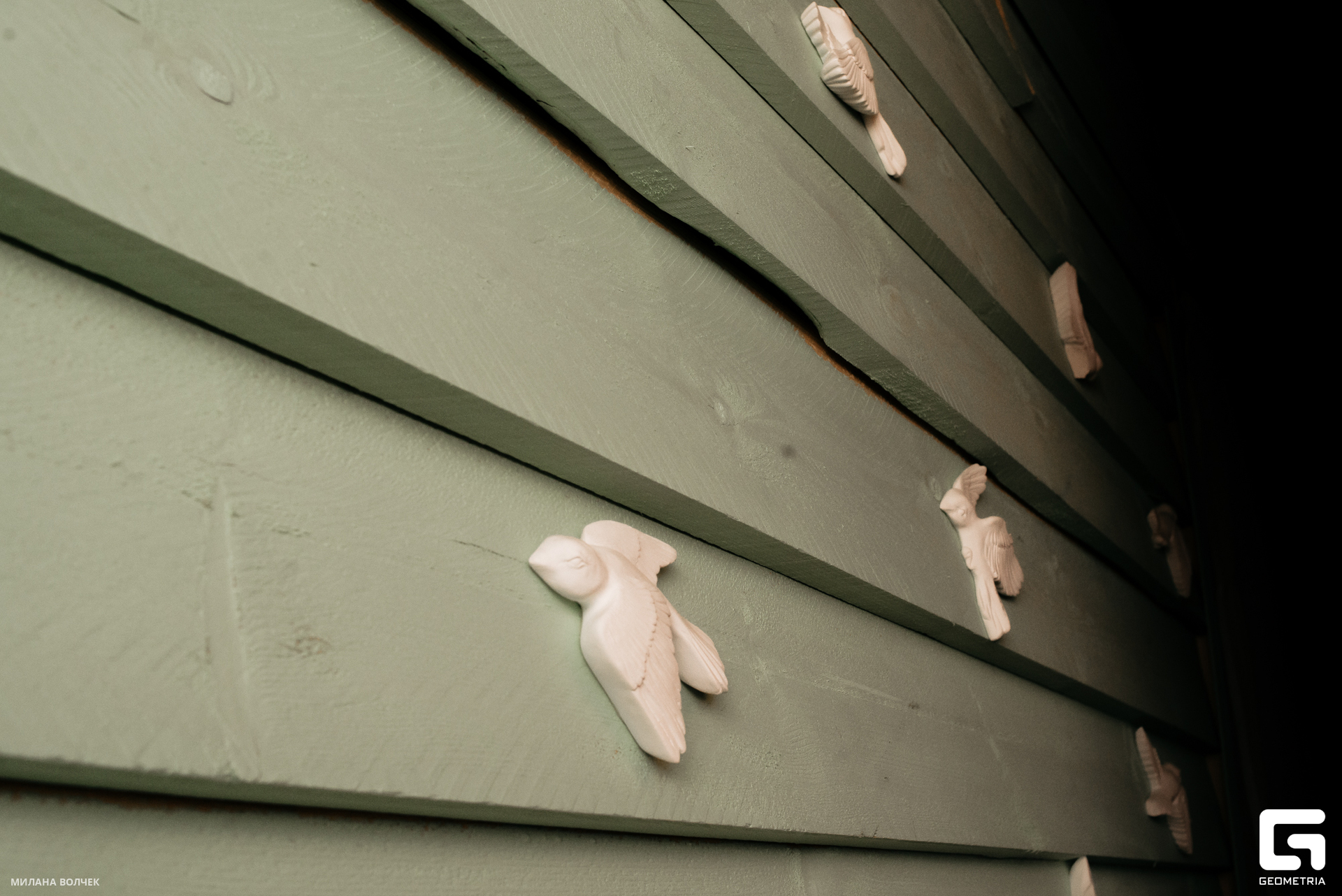 034_20230804 Волчек.jpg