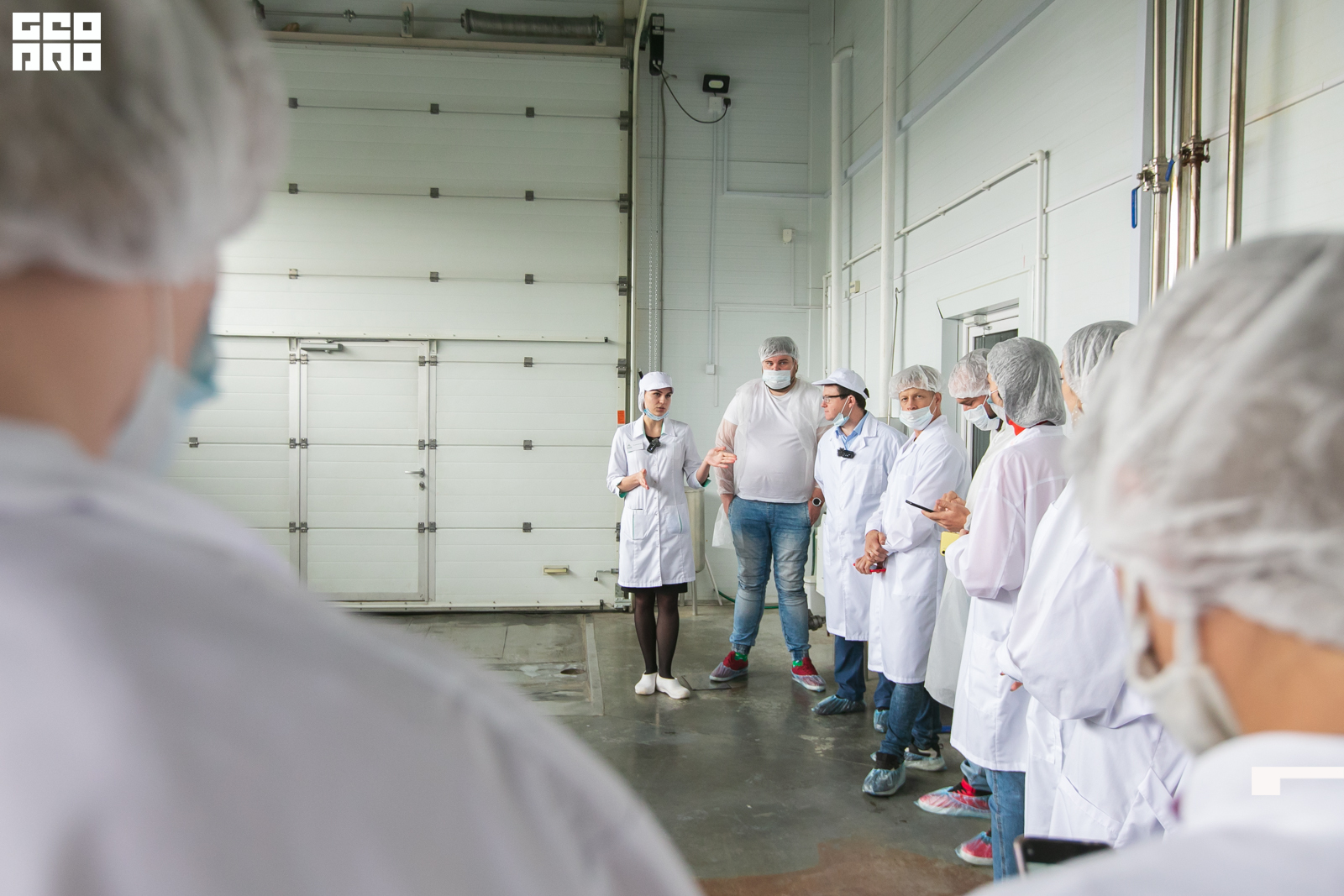 фывфывфыв (2).JPG