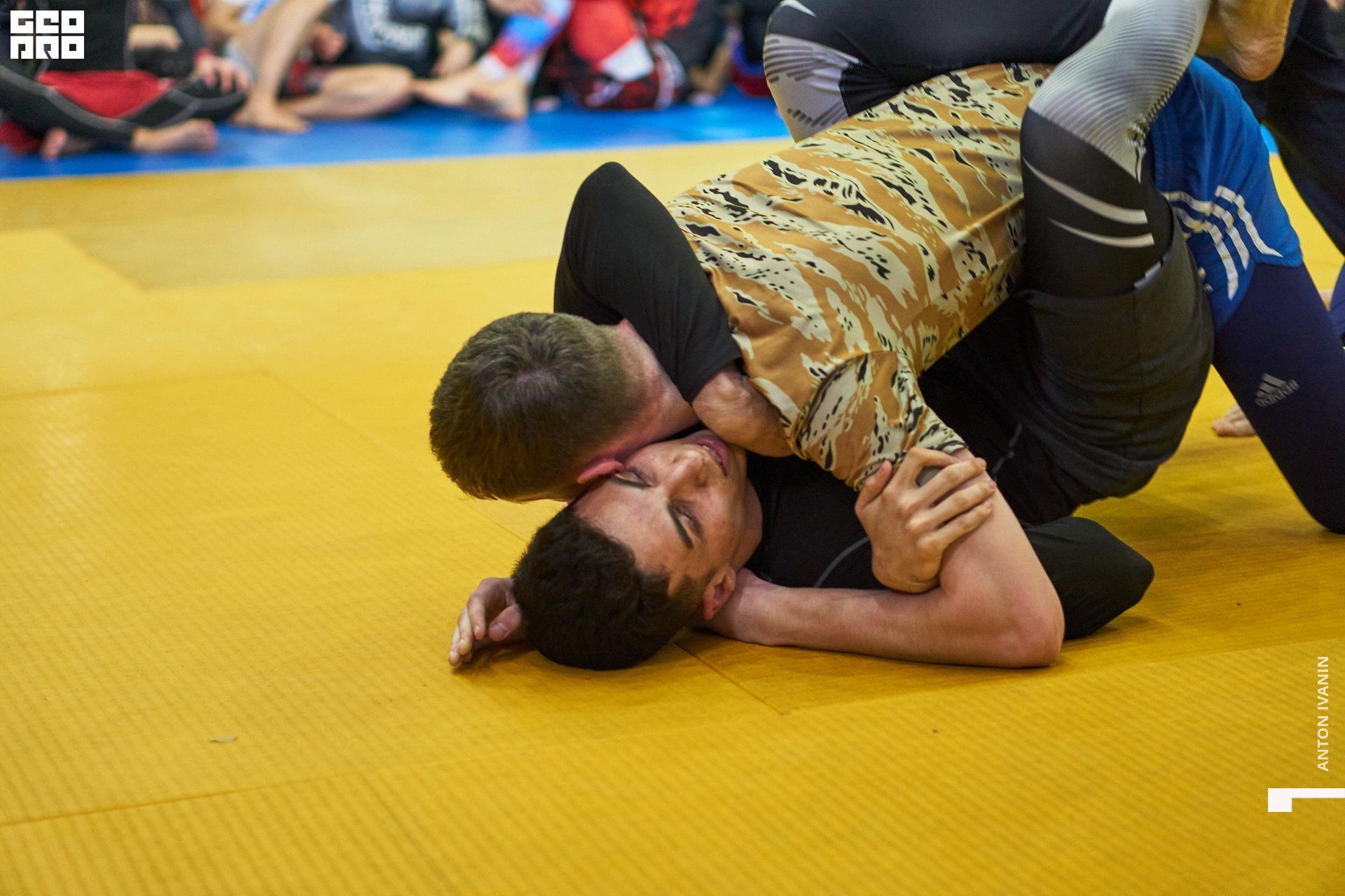 DSC08709 (Копировать).jpg