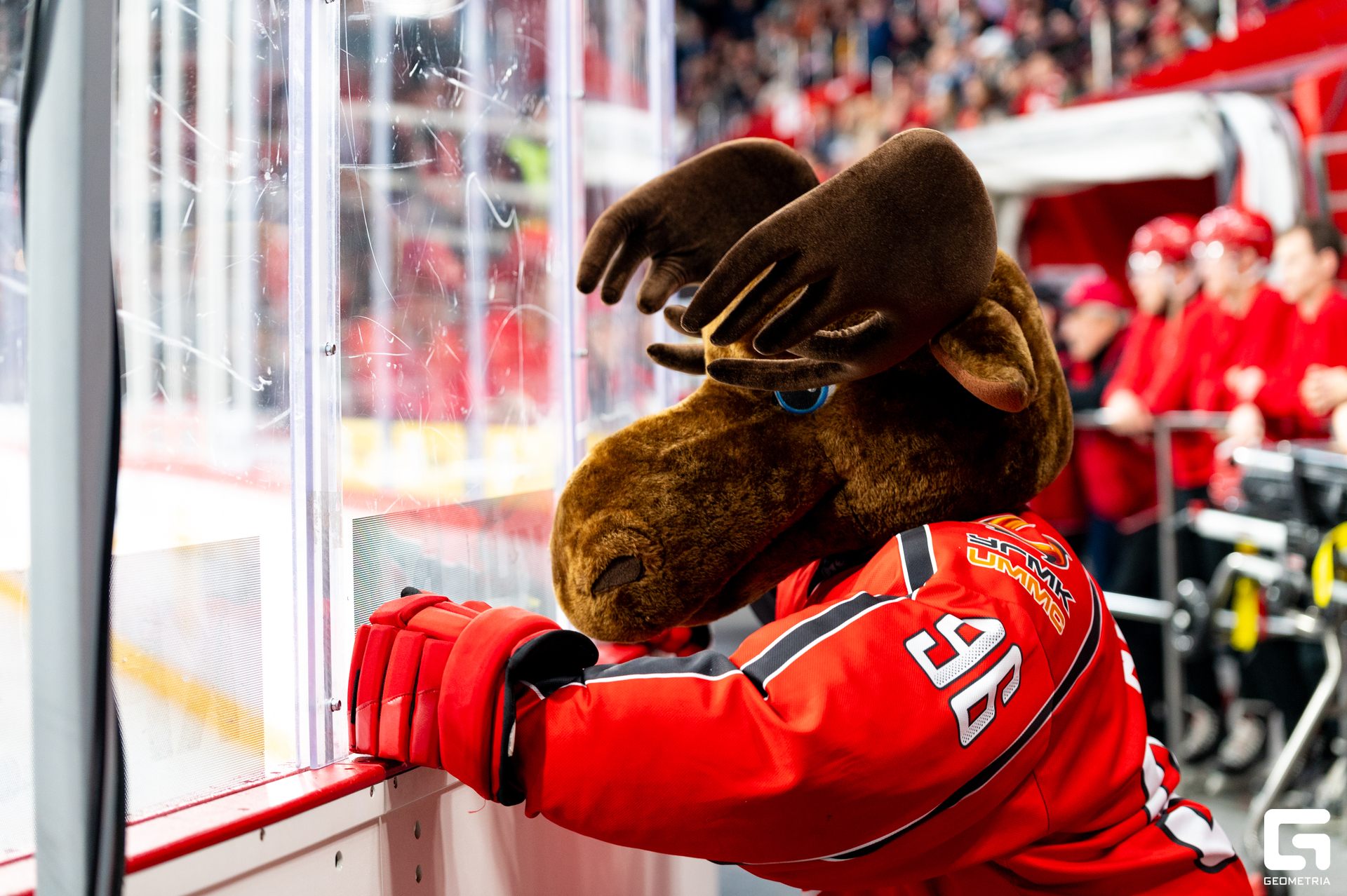 034 - 01-10-24_20-22-37_Kinzabaeva.jpg