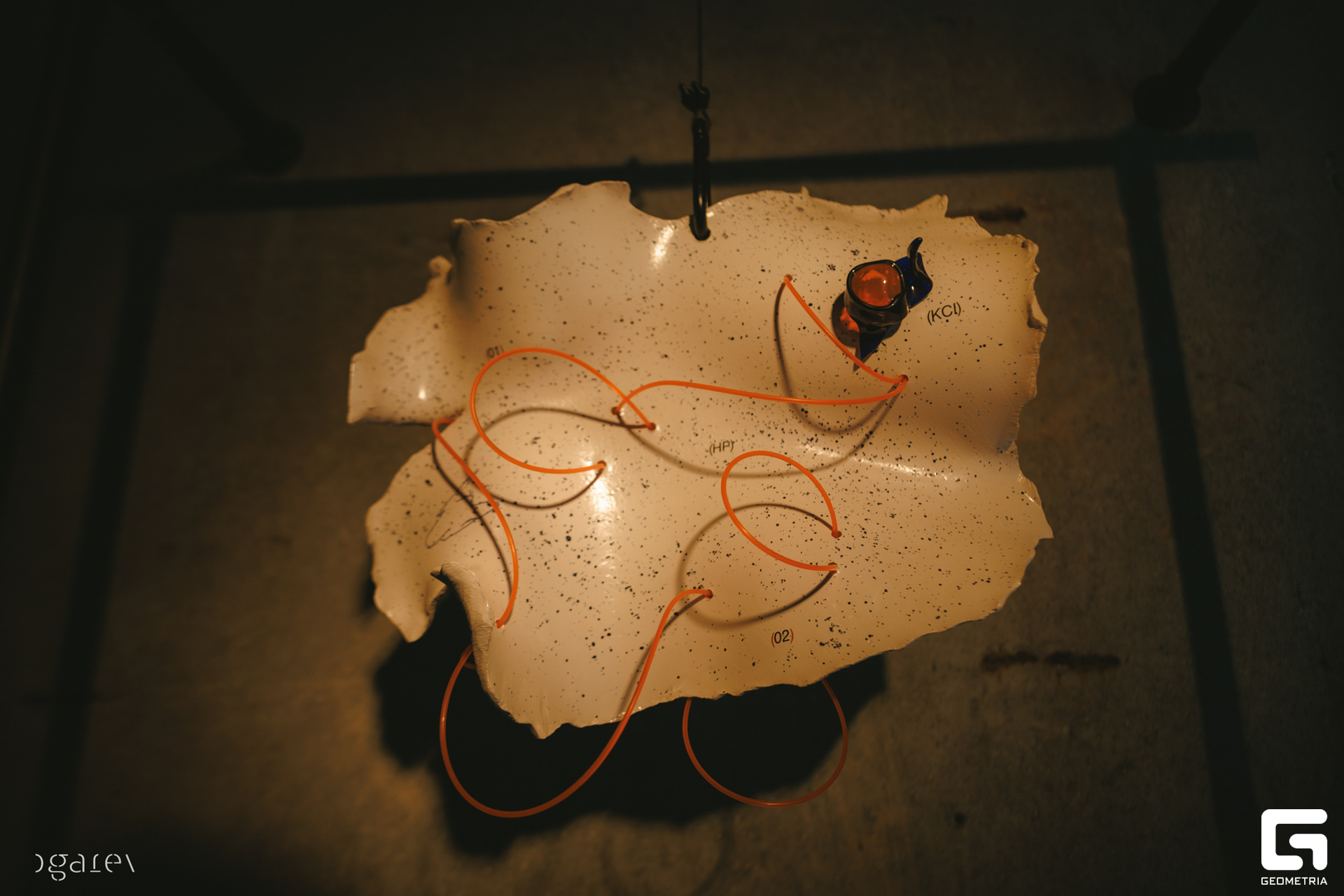 OUTLINE 2024-427-129.jpg