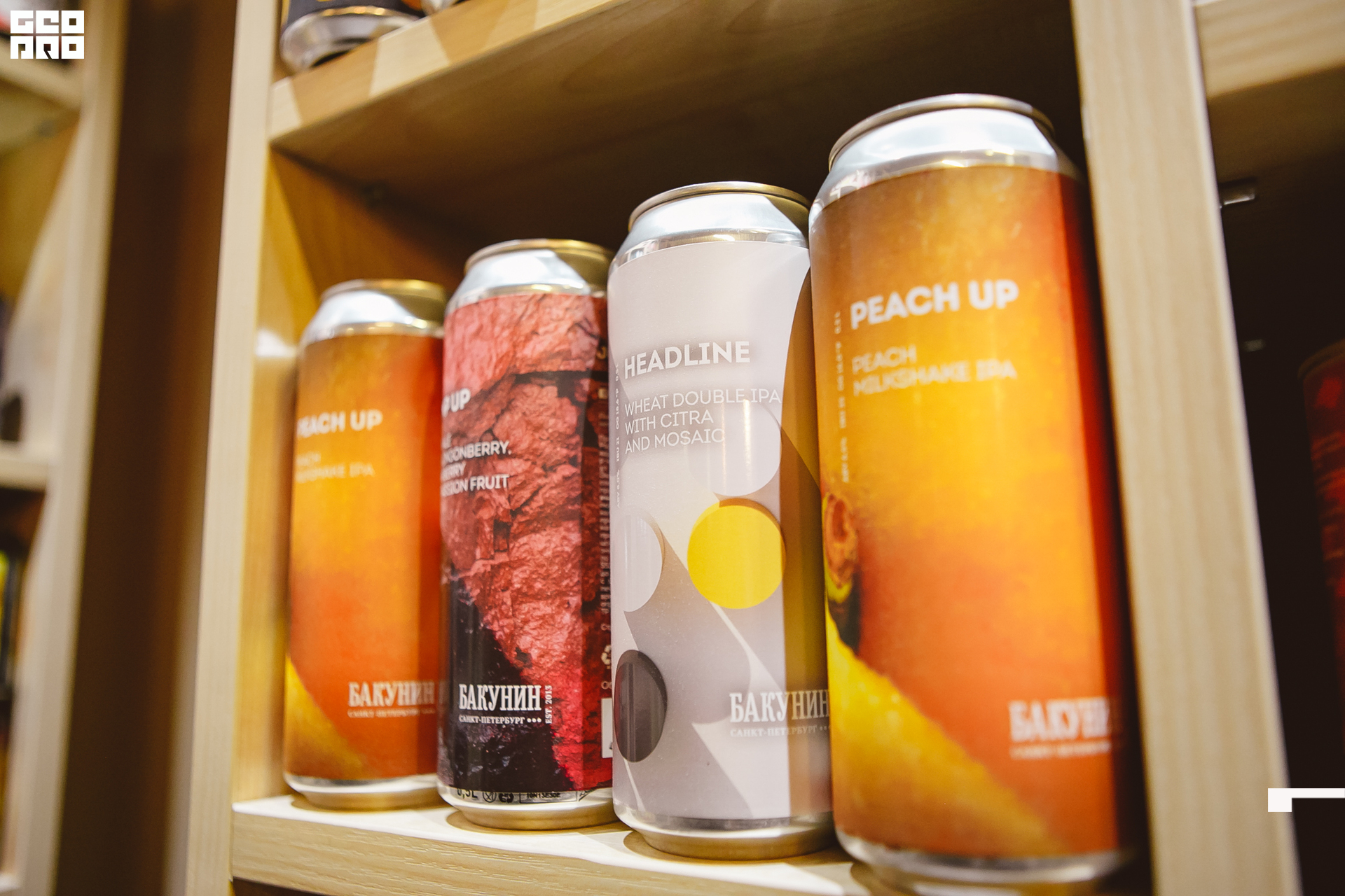 055 211010  200804 _ale_romanova.jpg