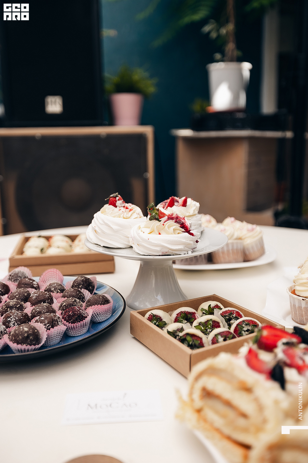 untitled shoot-0070.jpg