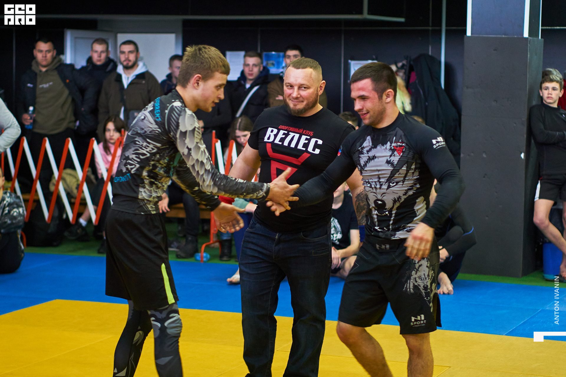 DSC09591 (Копировать).jpg