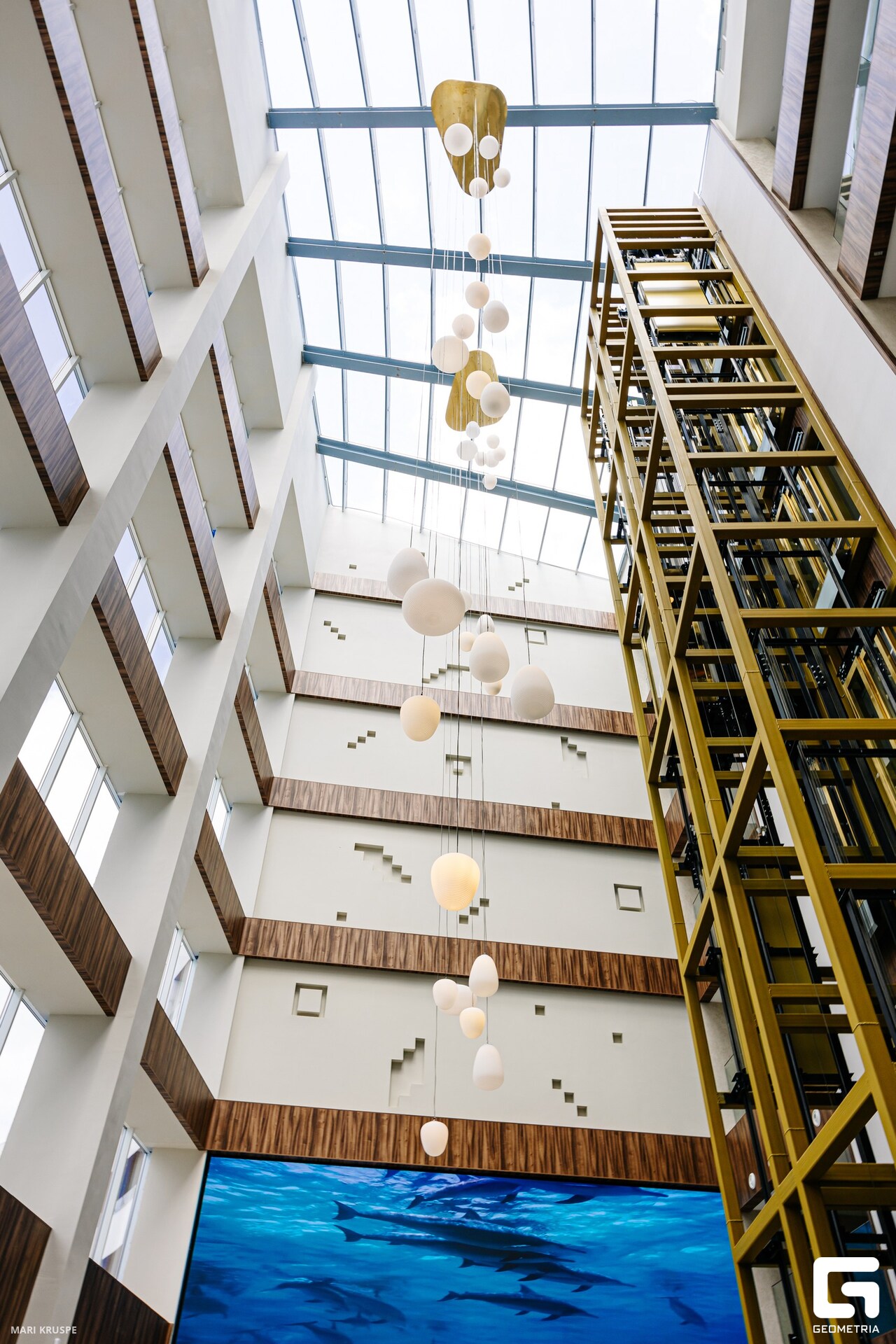 MARI5019 (2)_resized.jpg