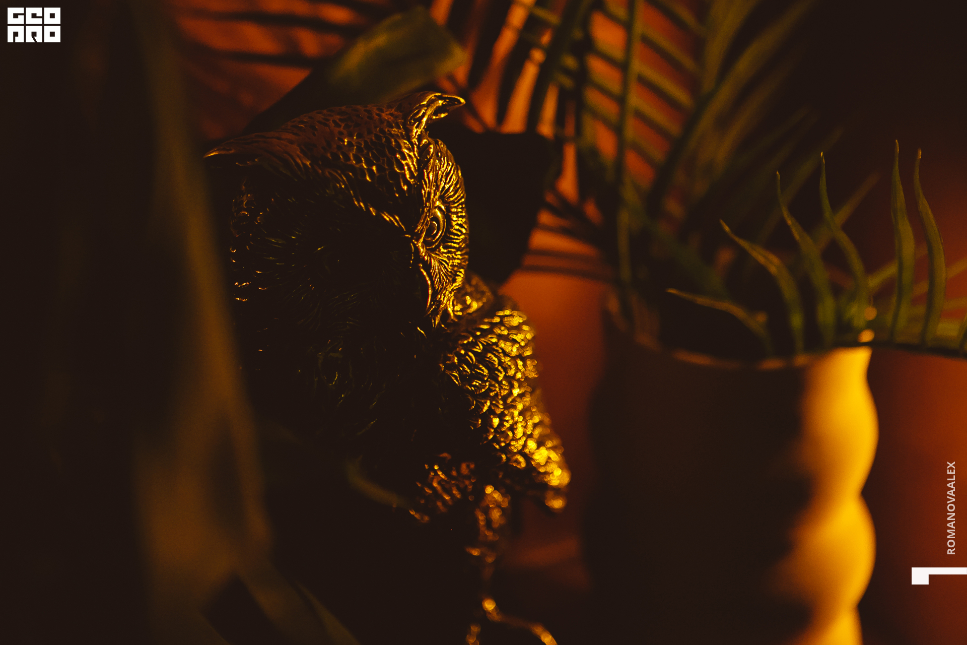 038 080322 210119 .jpg