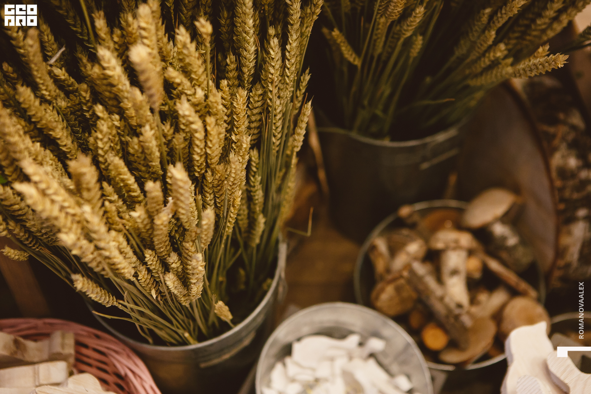 070 210615  202211 _romanovaalex.jpg