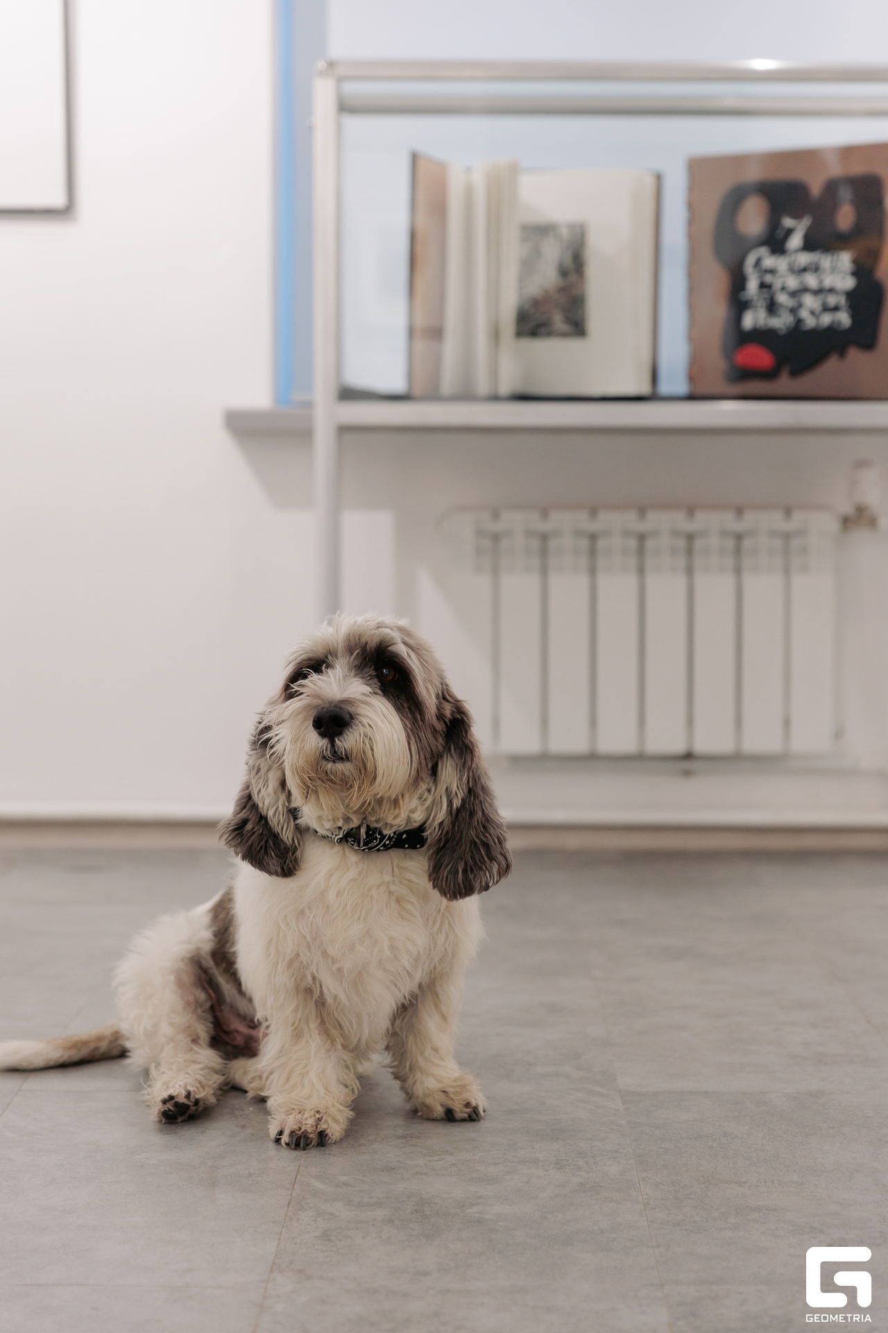 np-103-0W6A0231 2.jpg