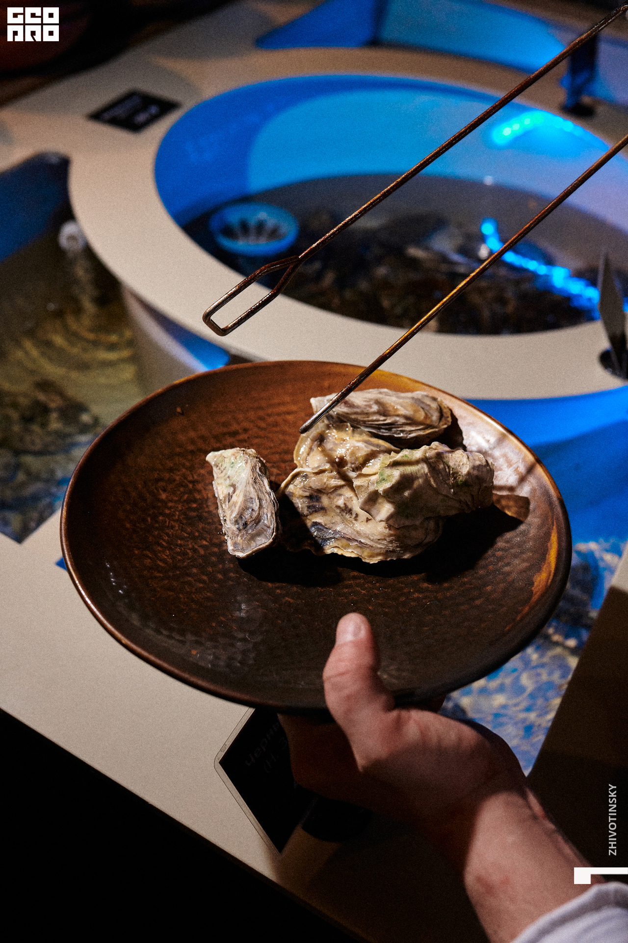 046_22-01-22_2-39 _Zhivotinsky.jpg