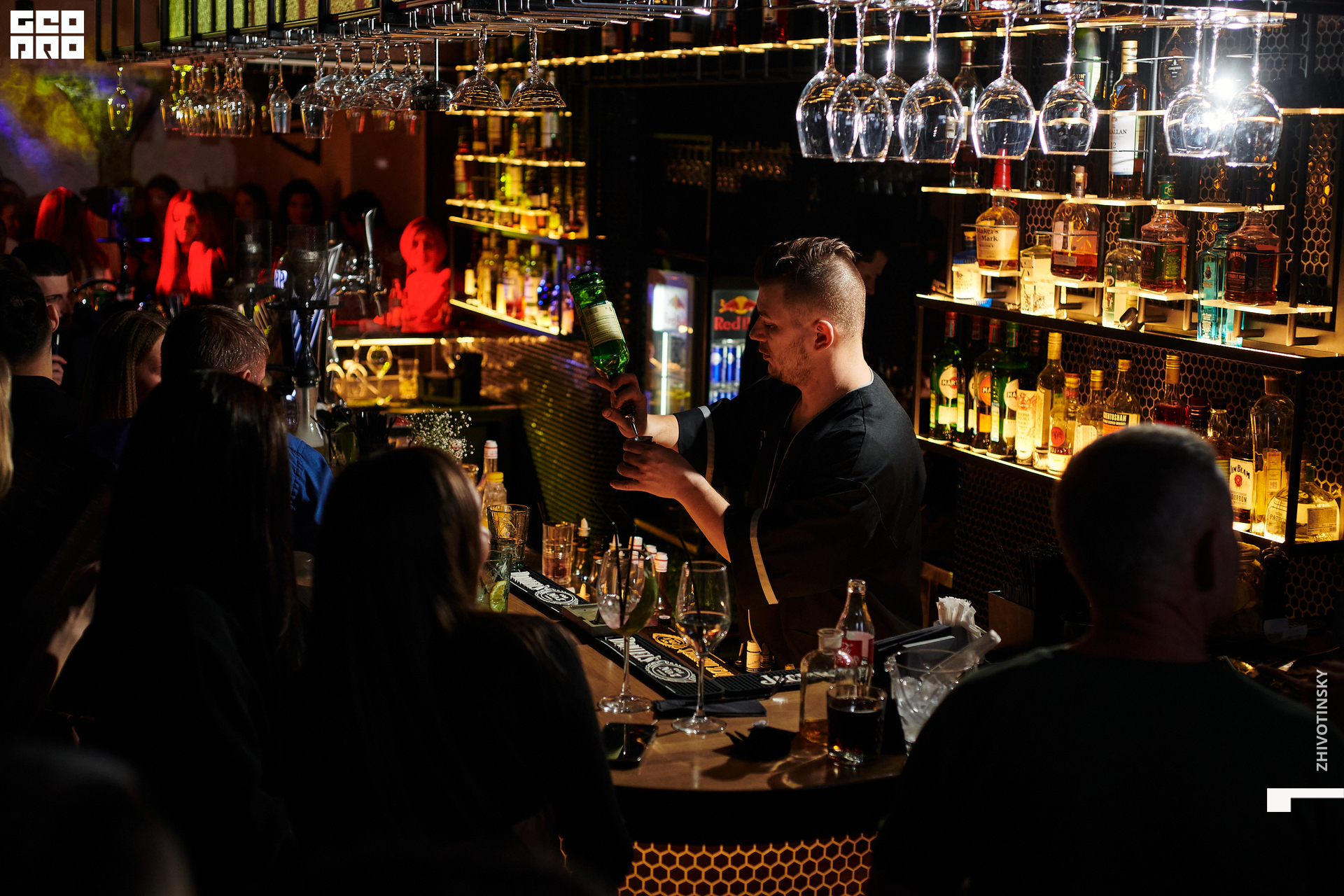 055_08-03-22_1-32 _Zhivotinsky.jpg