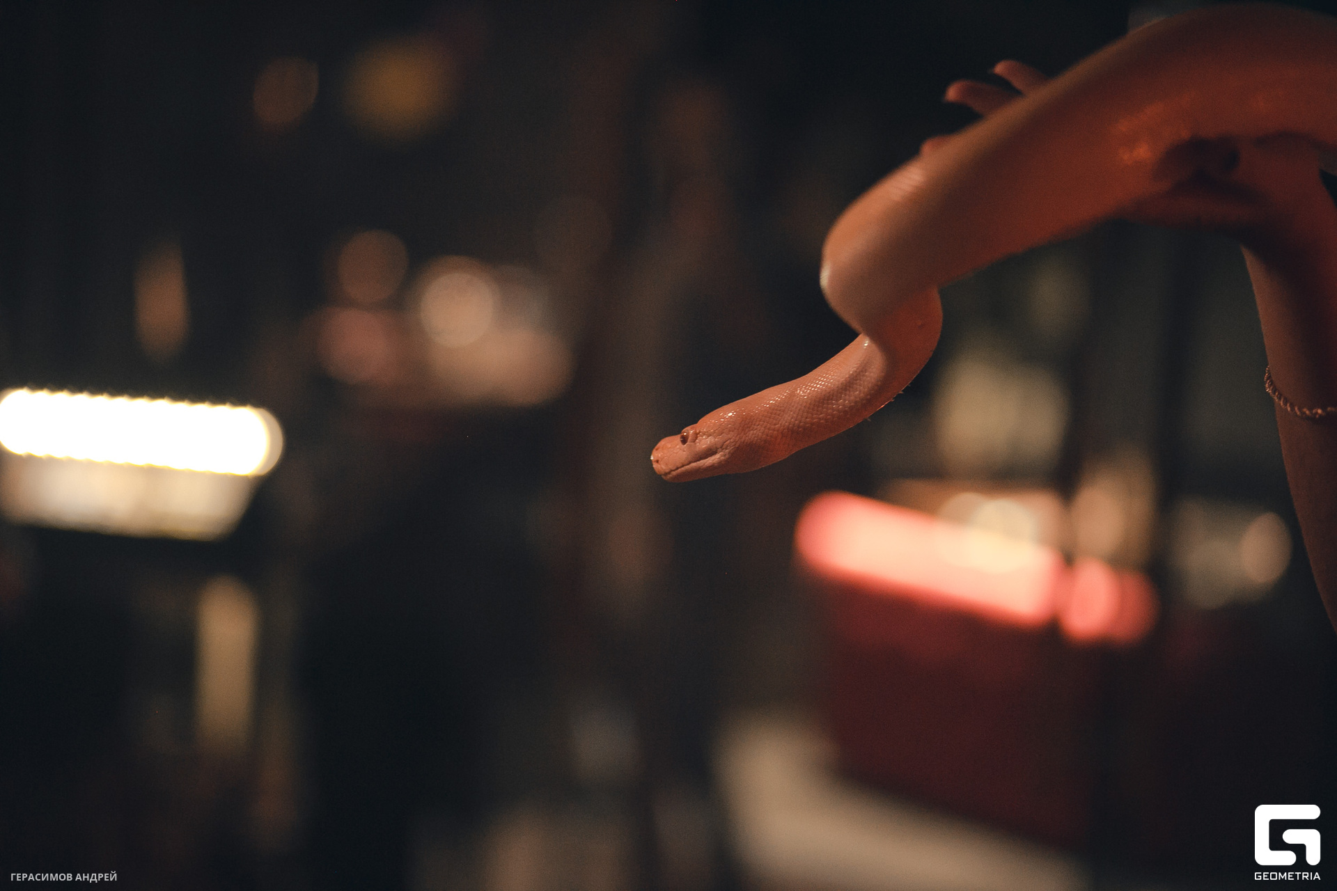 088 Хабл Бабл 28.10.jpg