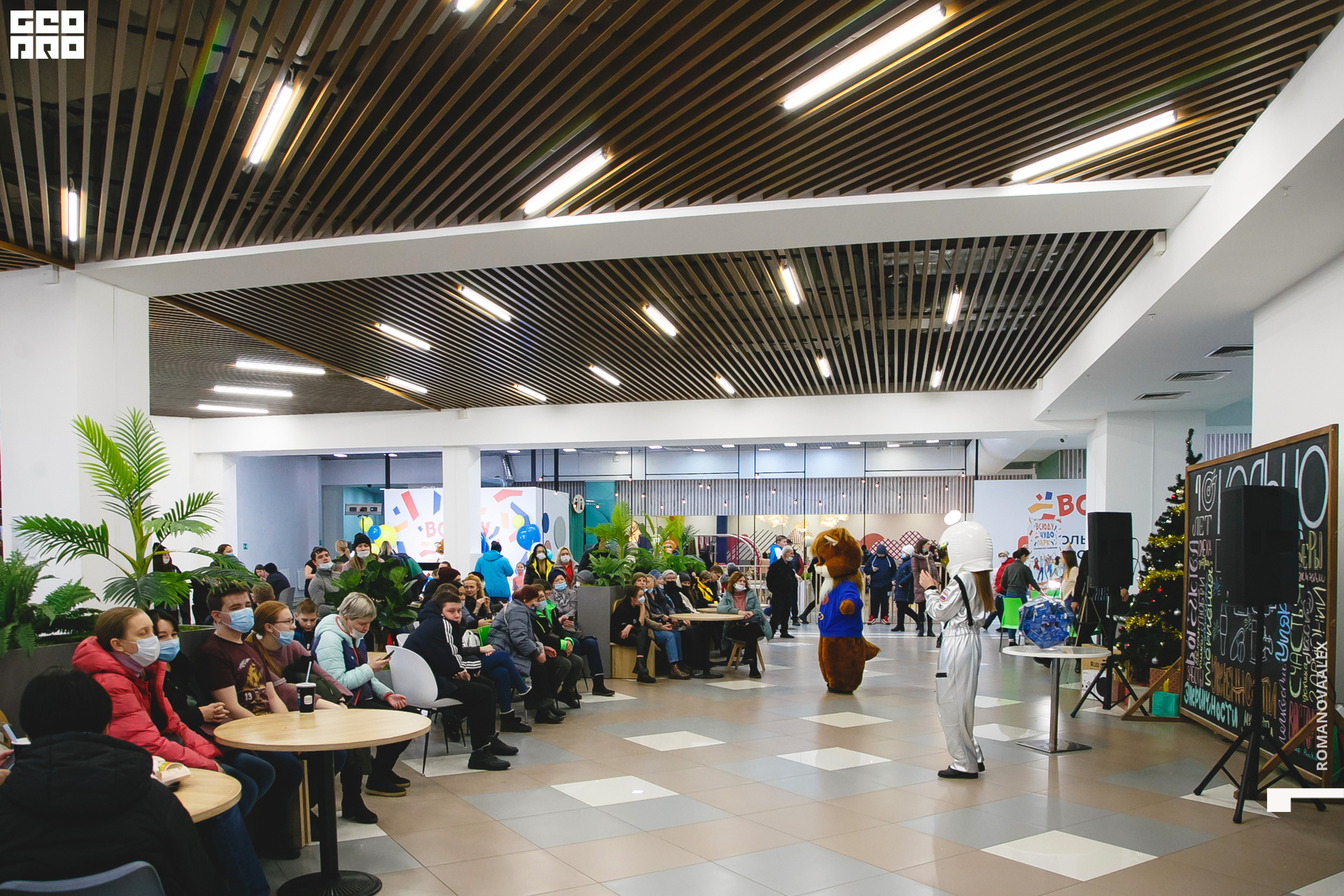 025 211204  170954 _ale_romanova.jpg