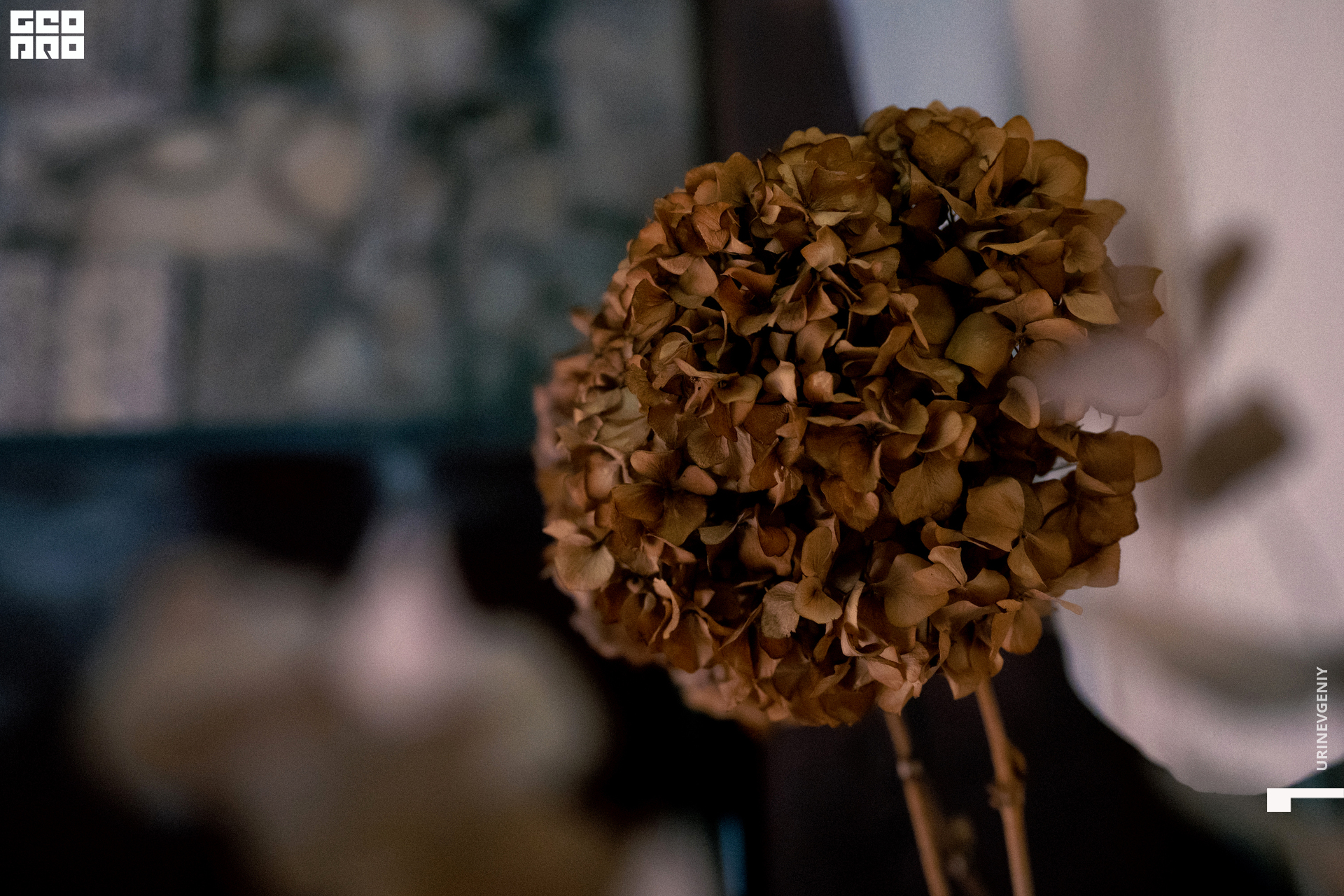 17.12.2020. Хлеб Да Винчик (71).jpg