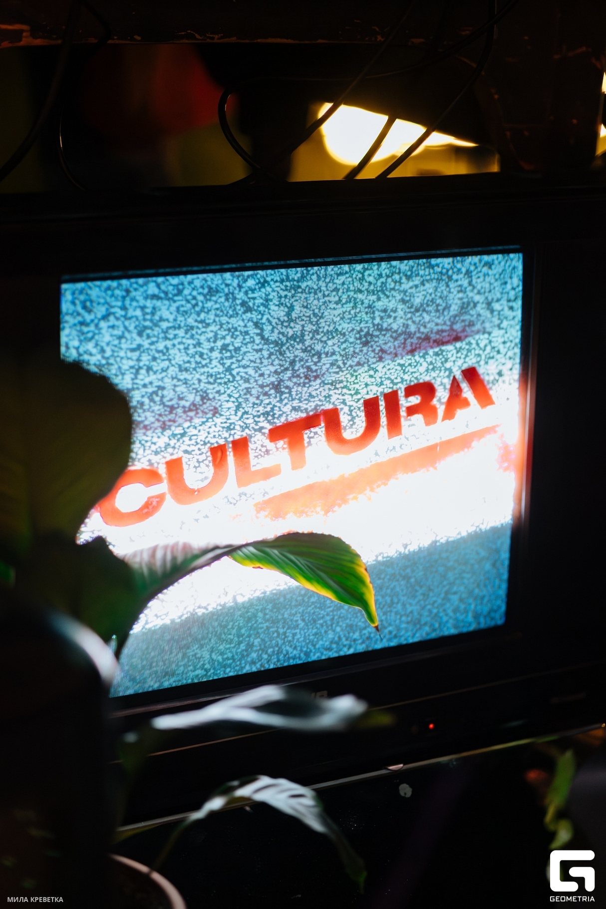 CULTURA 8