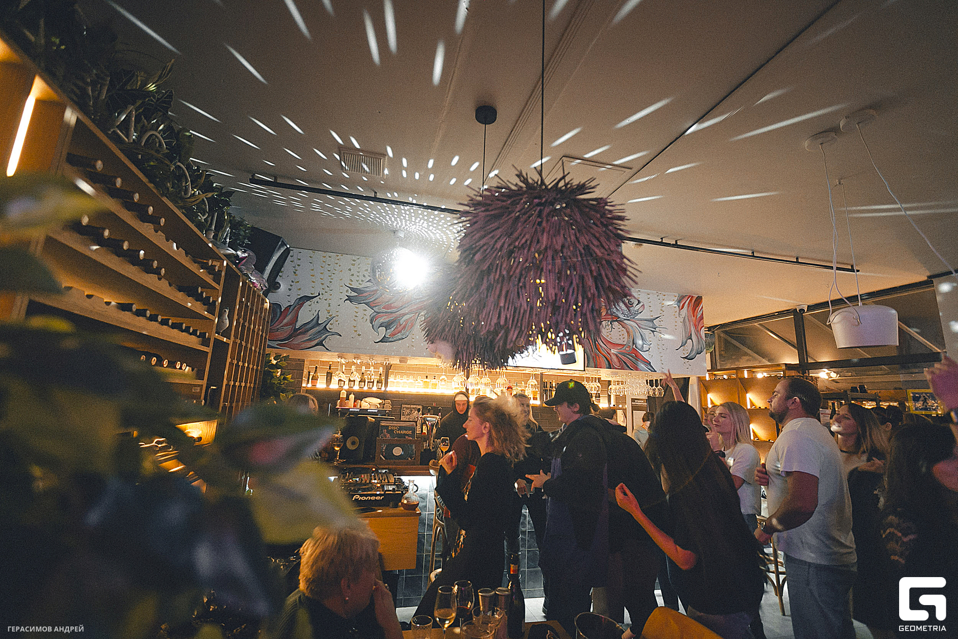 079 Свиристели 17. 02.jpg