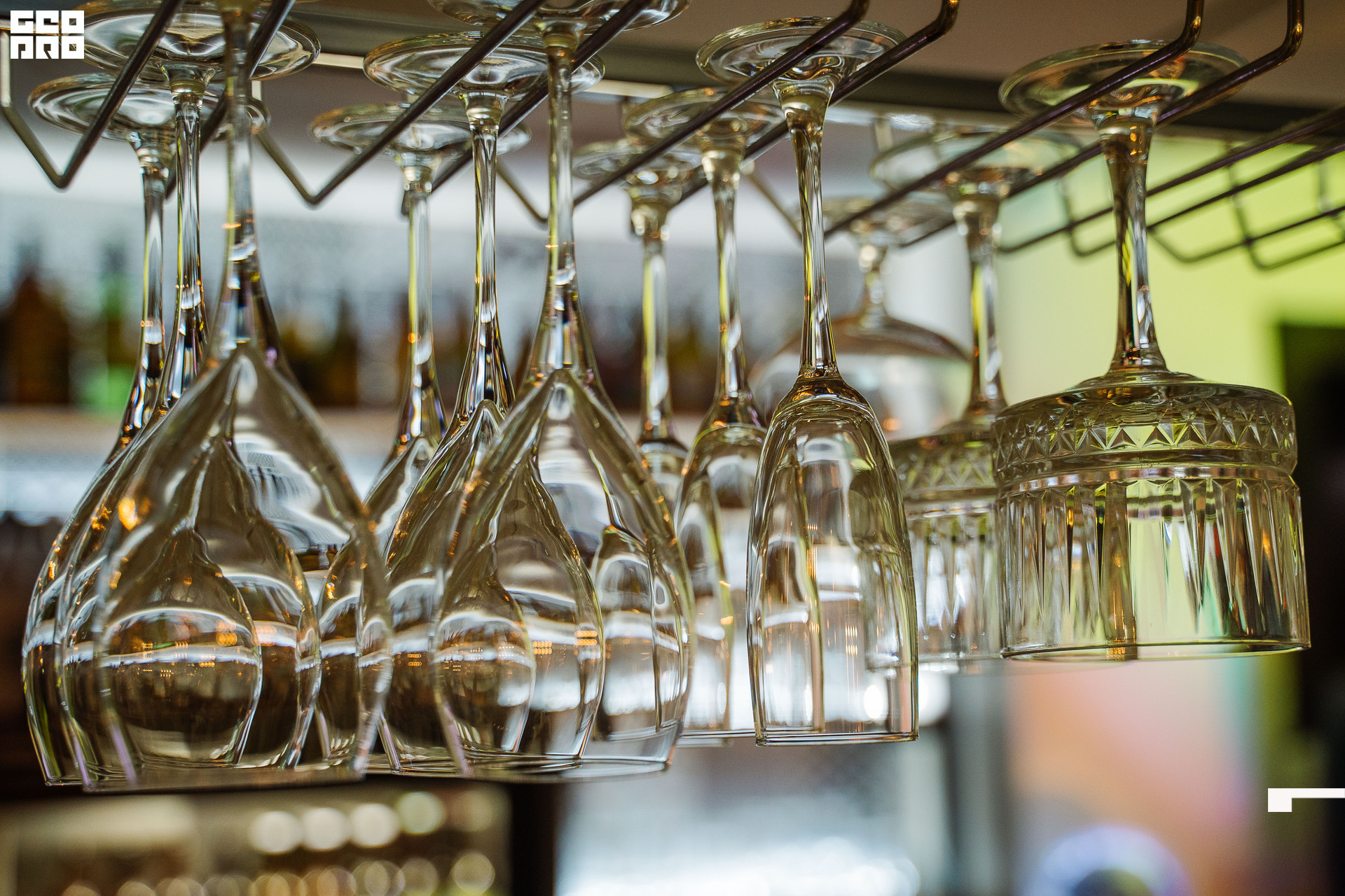 20221125 0063 _AV23955.jpg