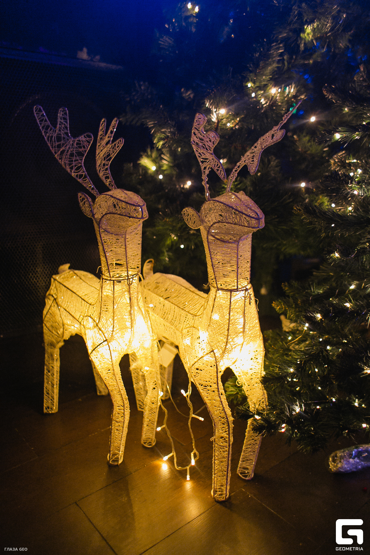 041танцевали хинкали 23.12.jpg