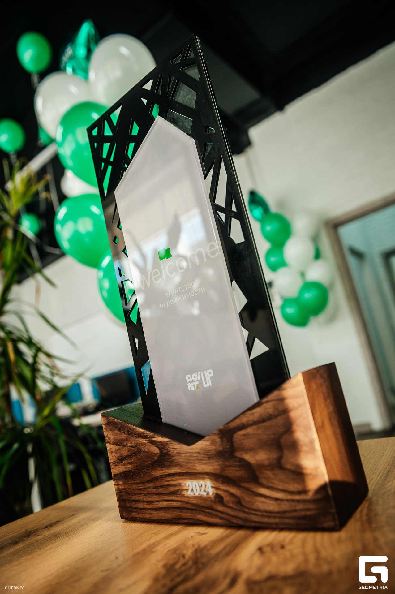 DSC_0748 копия.jpg