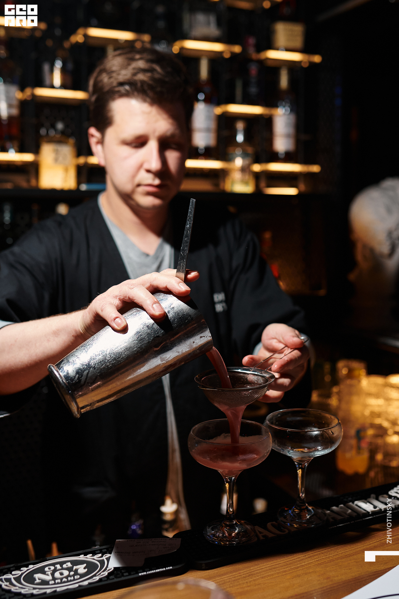 043_17-06-22_11-25 _Zhivotinsky.jpg