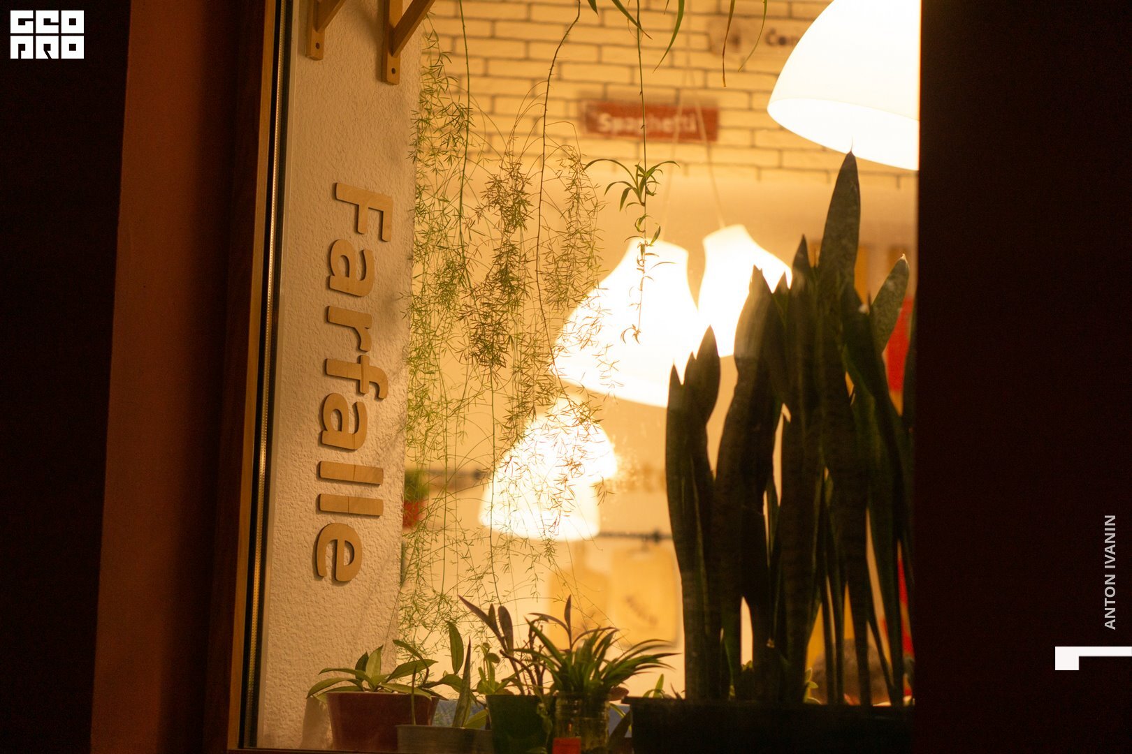 DSC07775 (Копировать).jpg