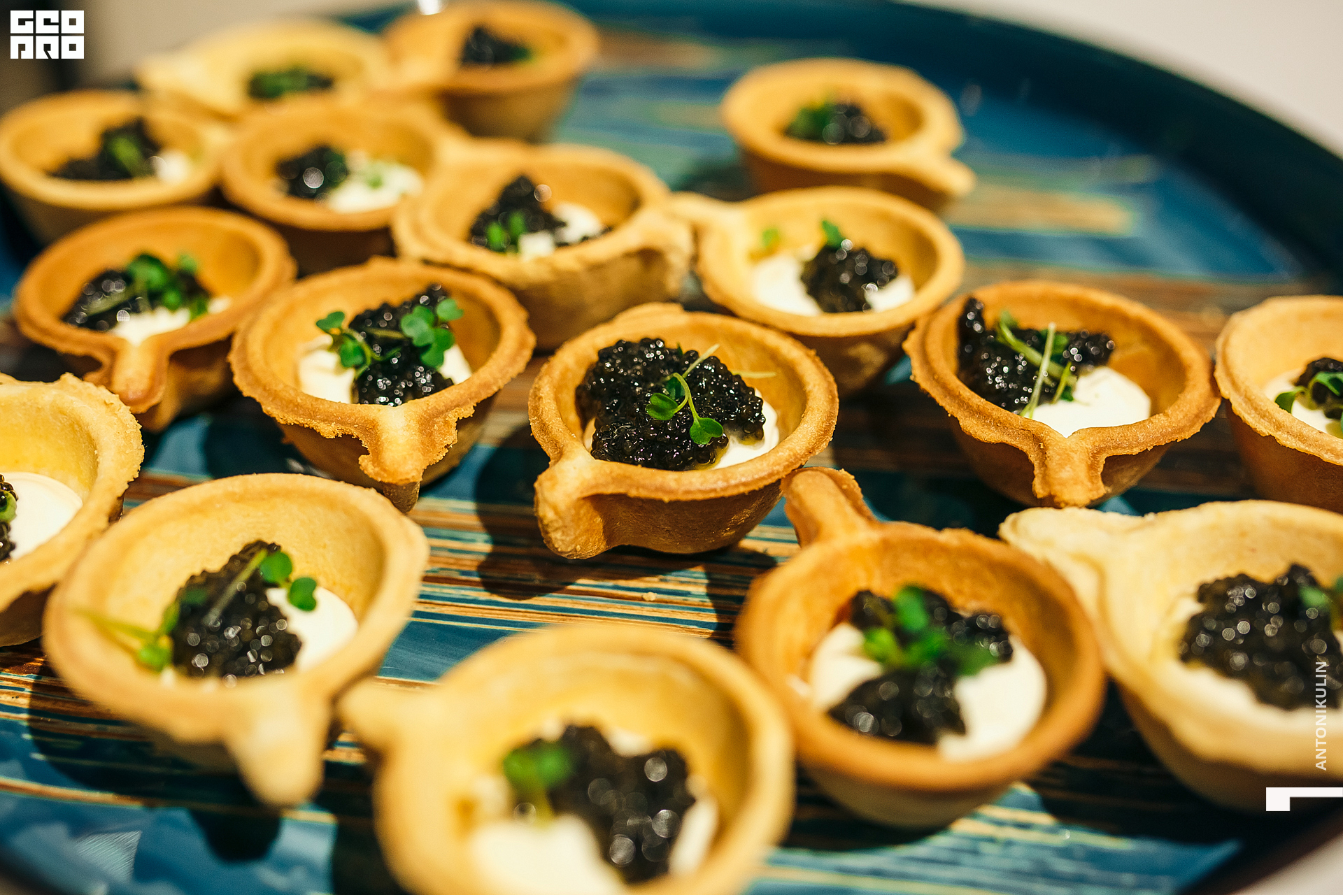 untitled shoot-6280.jpg